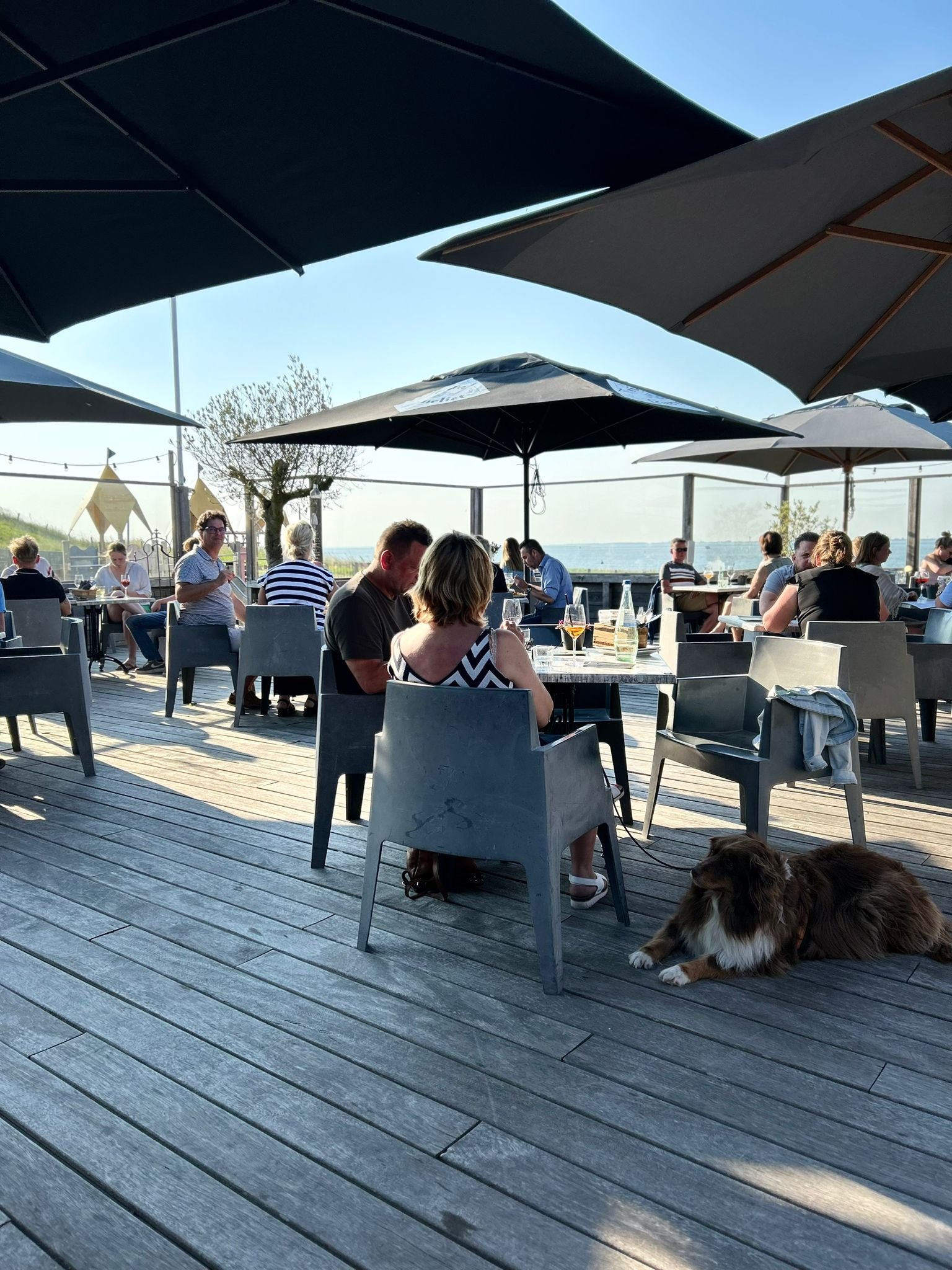 Zonnig terras met parasols bij Paviljoen 't Schor