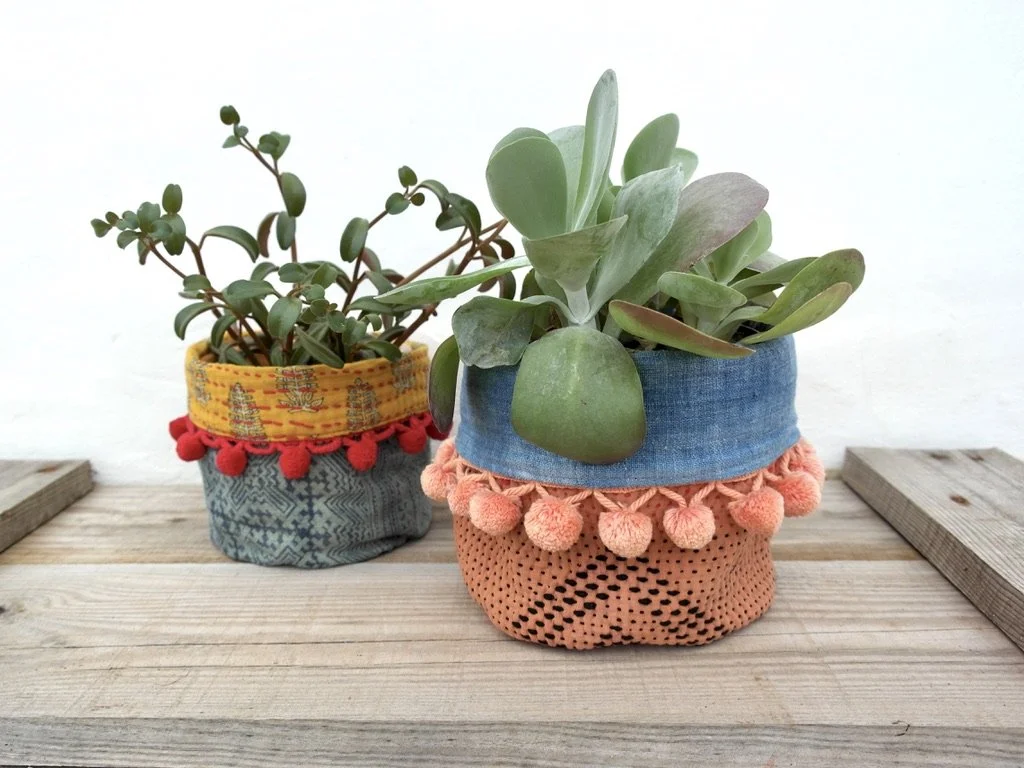 Reversible plant cozy medium coral light blue with other plant