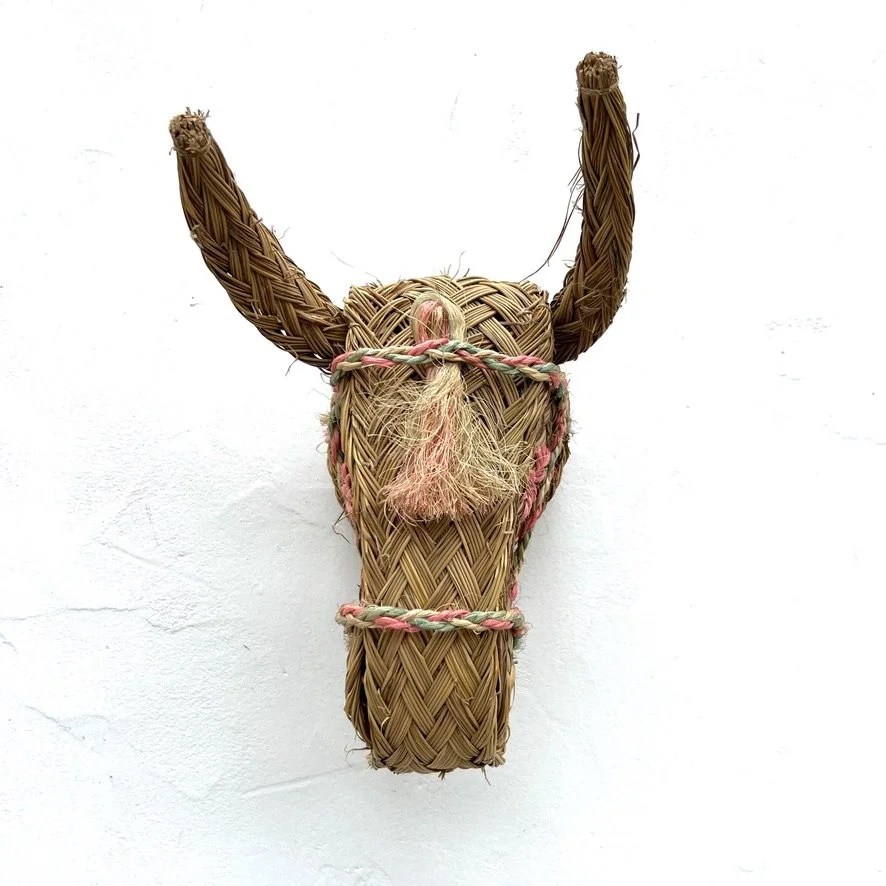 Faux donkey head medium size front