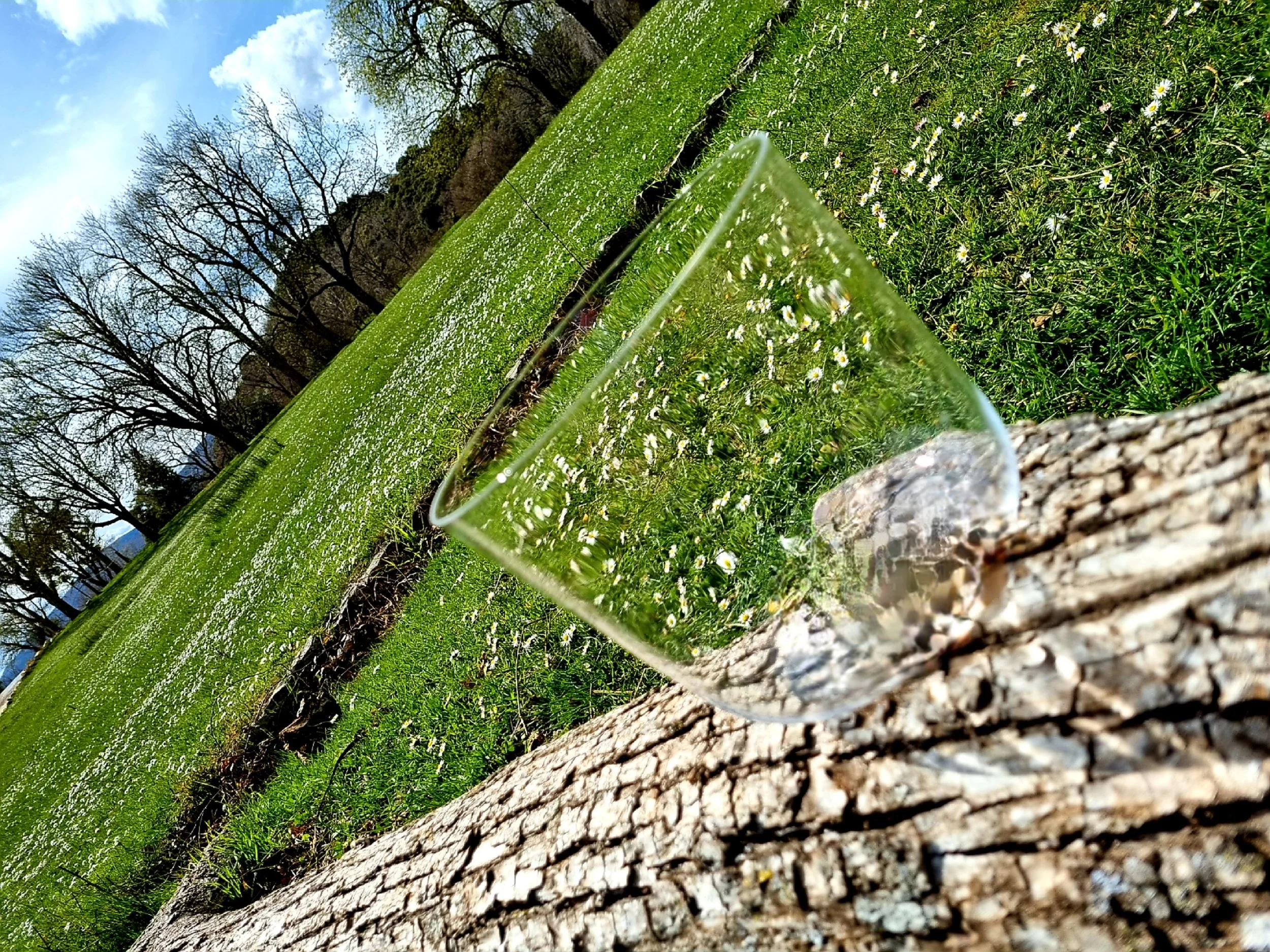 20220408_155749.jpg