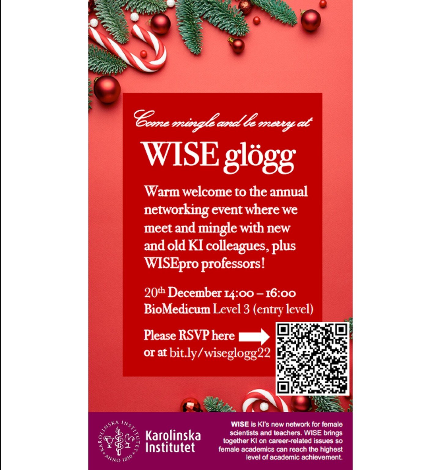 Warm welcome to WISE gl&ouml;gg!

Can you believe it? Now there're over 150 of us in KI Women In Science and Education (WISE) network! And what better way to celebrate than with lussekatter and mulled wine. So let&rsquo;s meet and mingle with KI coll