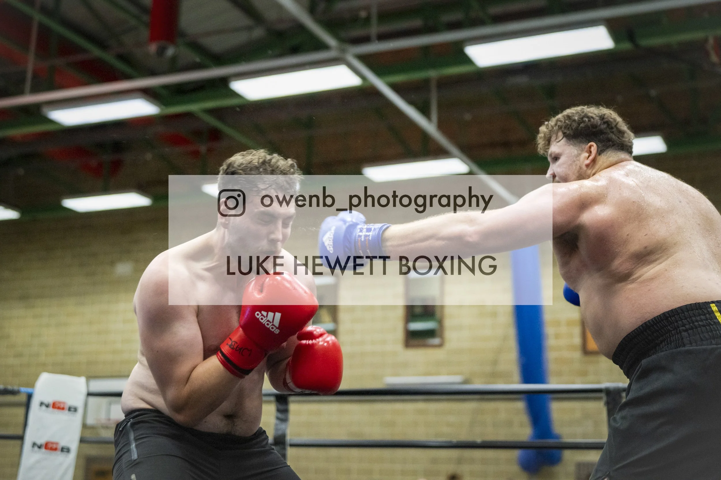 Two shirtless male boxers sparring in a boxing ring, one with red gloves and the other with blue gloves, inside a gym with a brick wall and fluorescent lights overhead.