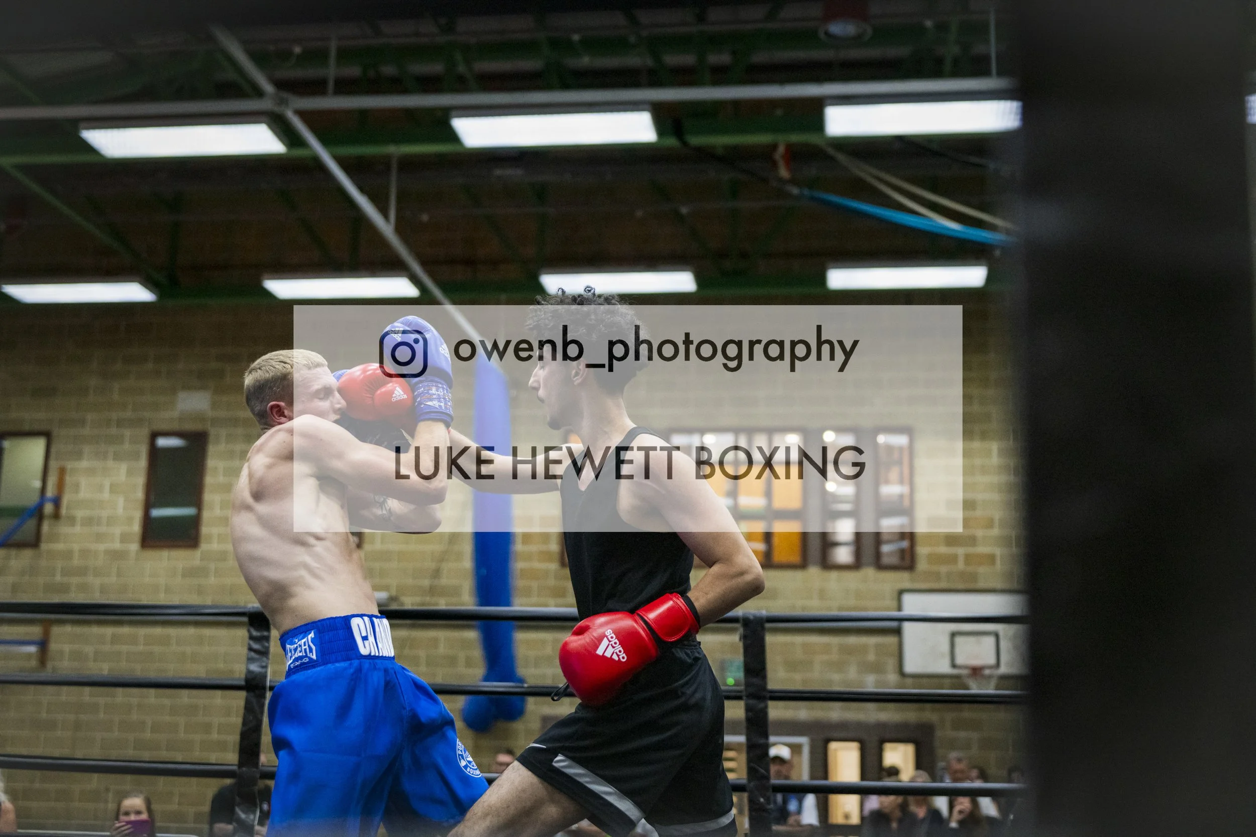 Two male boxers are engaged in a match in a boxing gym, surrounded by an audience. One boxer is throwing a punch towards the other, who is wearing red gloves and blue shorts. The gym has a brick wall background and boxing ring ropes.