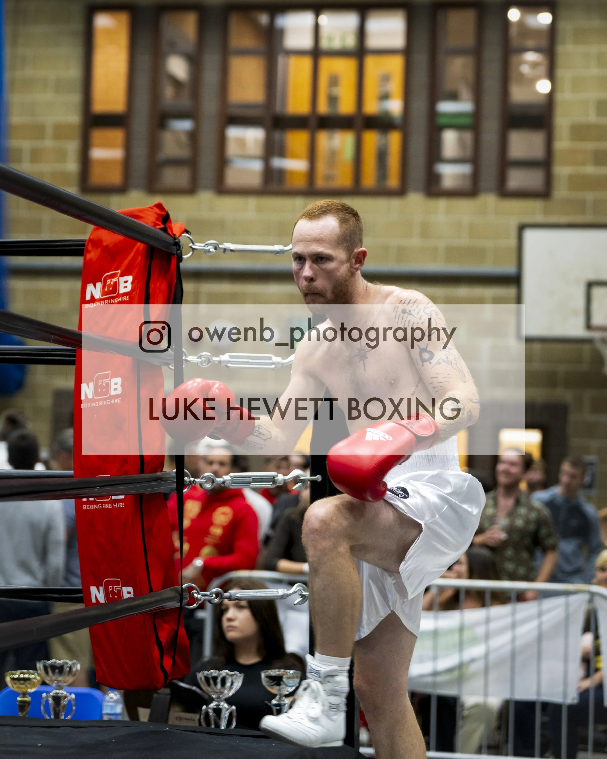 A boxer with red gloves and tattoos on his arm, wearing white shorts, is in a boxing ring with trophies on a table nearby. There are spectators in the background, and the setting appears to be an indoor venue with brick walls and large windows.