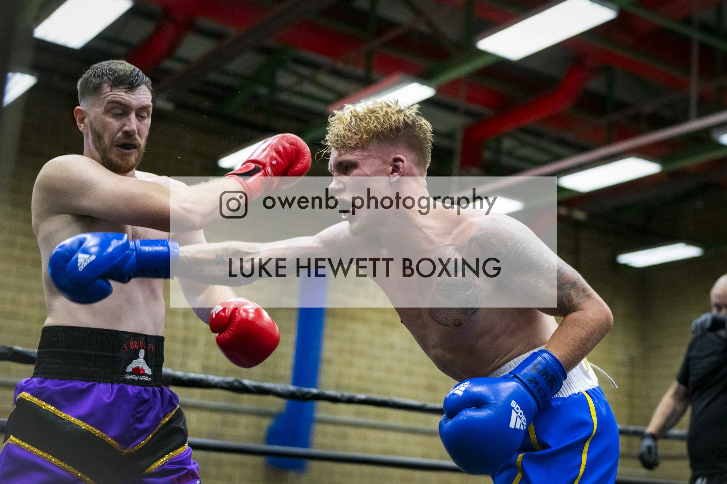 Two male boxers engaged in a match inside a boxing ring, with one throwing a punch at the other. The boxer on the left has dark hair, a beard, and is wearing black shorts with a purple and gold trim, red gloves, and has a focused expression. The boxe