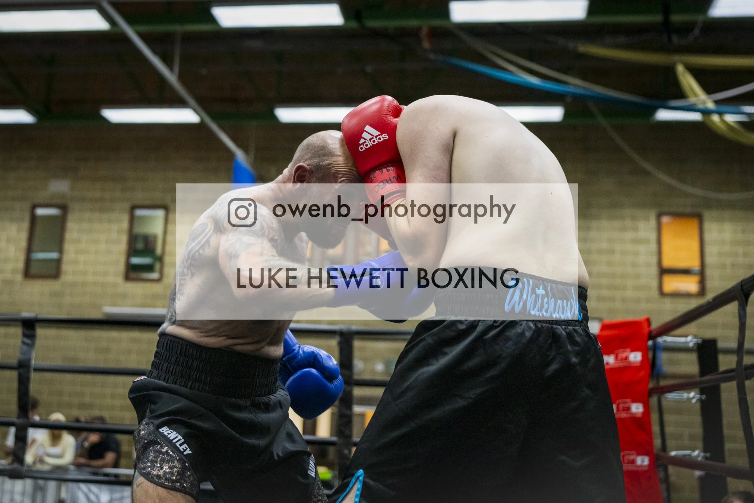 Two male boxers sparring in a boxing ring, one wearing red Adidas gloves and the other wearing blue gloves, with a gymnasium background.