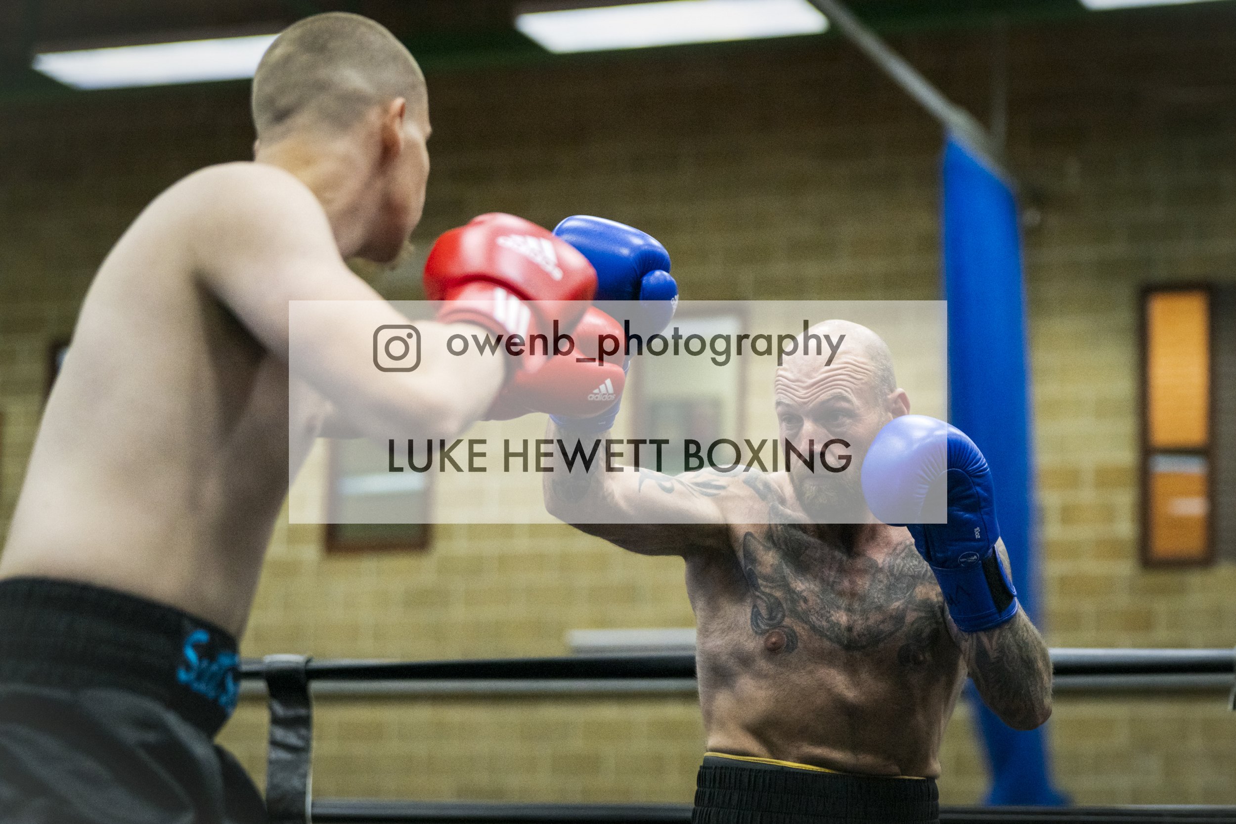 Two male boxers training in a boxing gym. One boxer with tattoos is throwing a punch while wearing blue gloves, and the other with shaved head is wearing red gloves, preparing to block or counter. The gym has padded walls and a punching bag in the ba