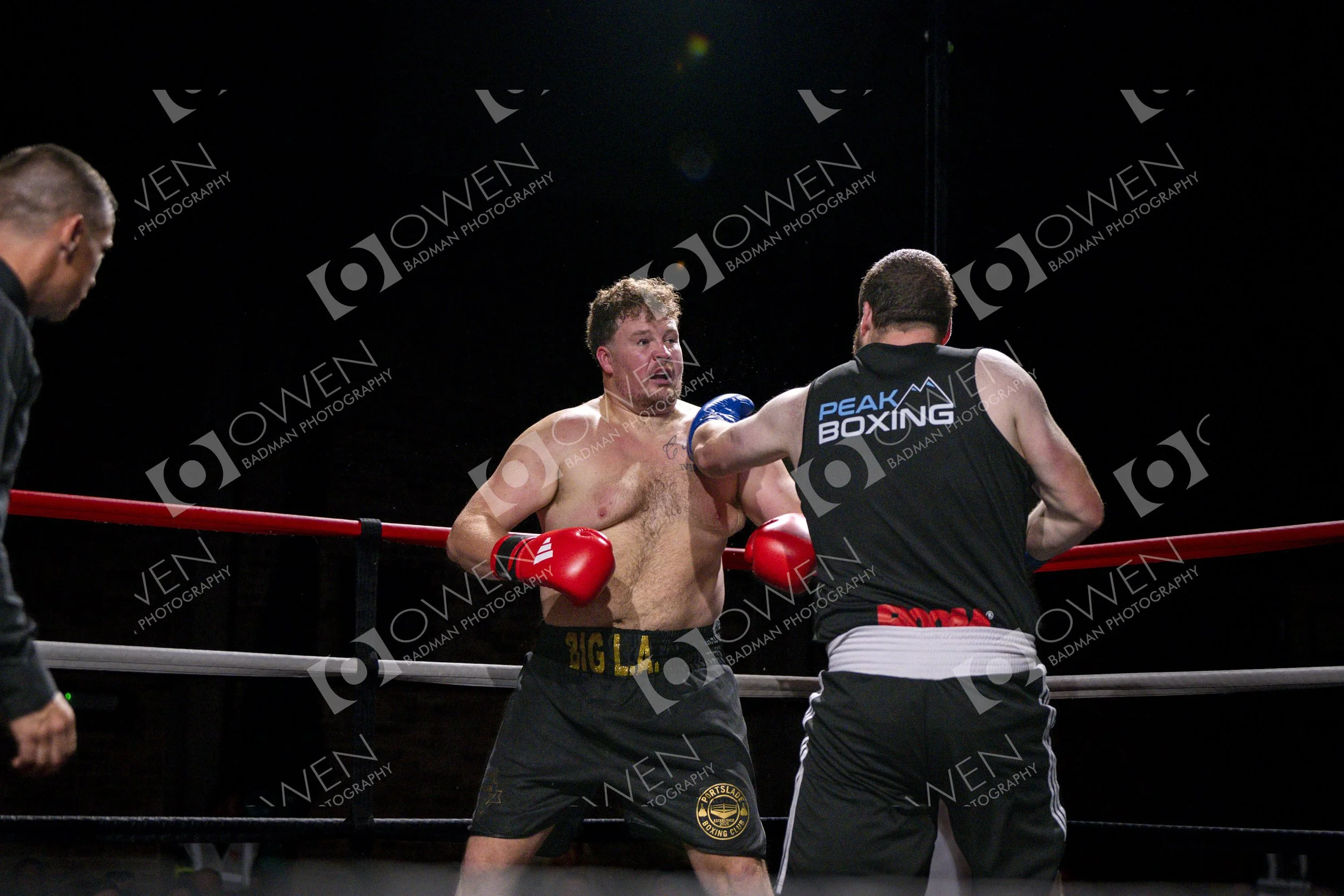 Card 2 Raw (540).jpg