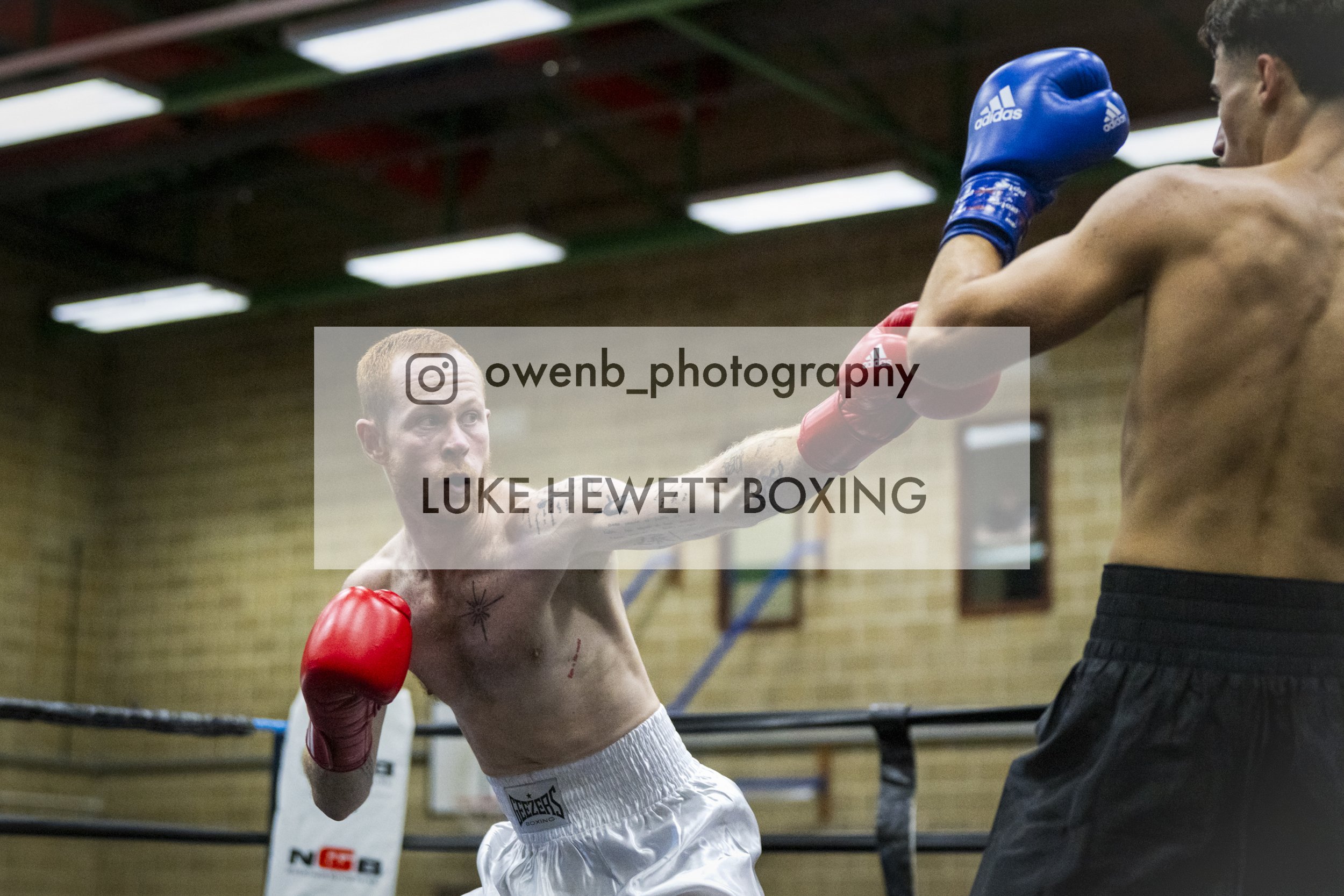 A young male boxer with red gloves training with a coach in a boxing ring, wearing white shorts. The boxer is delivering a punch toward the coach, who is standing outside the ring. The background shows a gym with wooden walls and overhead lights.