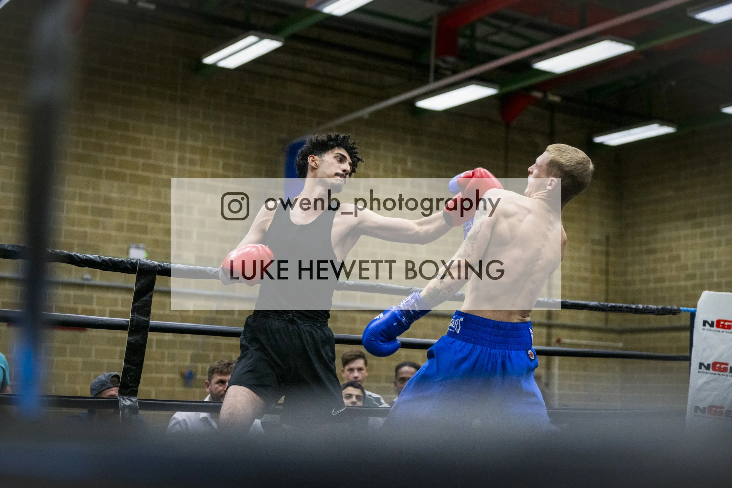 Two male boxers are engaged in a match inside a boxing ring, with one delivering a punch to the other's face. The boxer on the left has dark, curly hair and is wearing a black sleeveless shirt and black shorts. The boxer on the right has blonde hair 