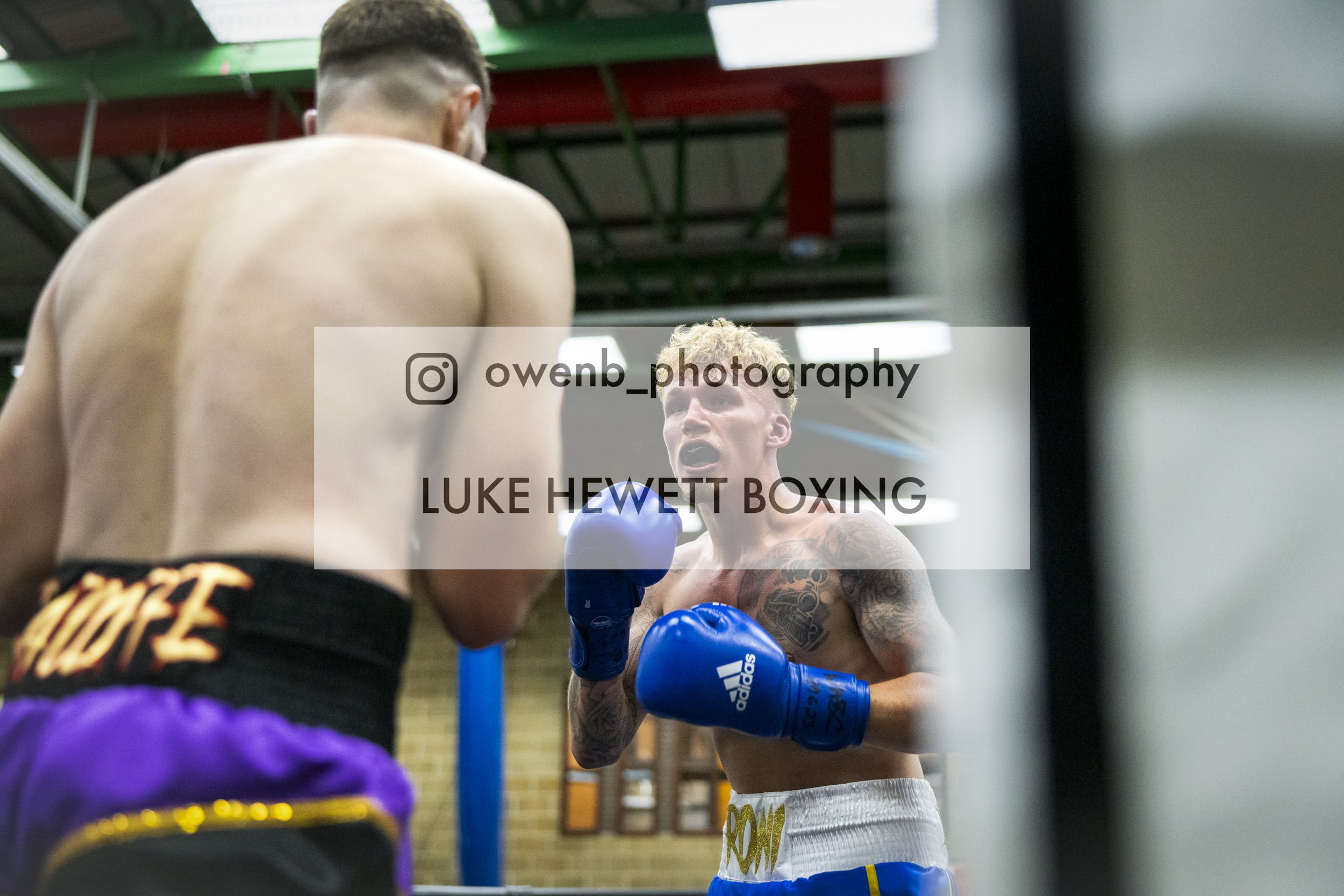 Two male boxers training in a boxing gym, one with his back to the camera and the other facing him with their fists raised, wearing blue boxing gloves and shorts.