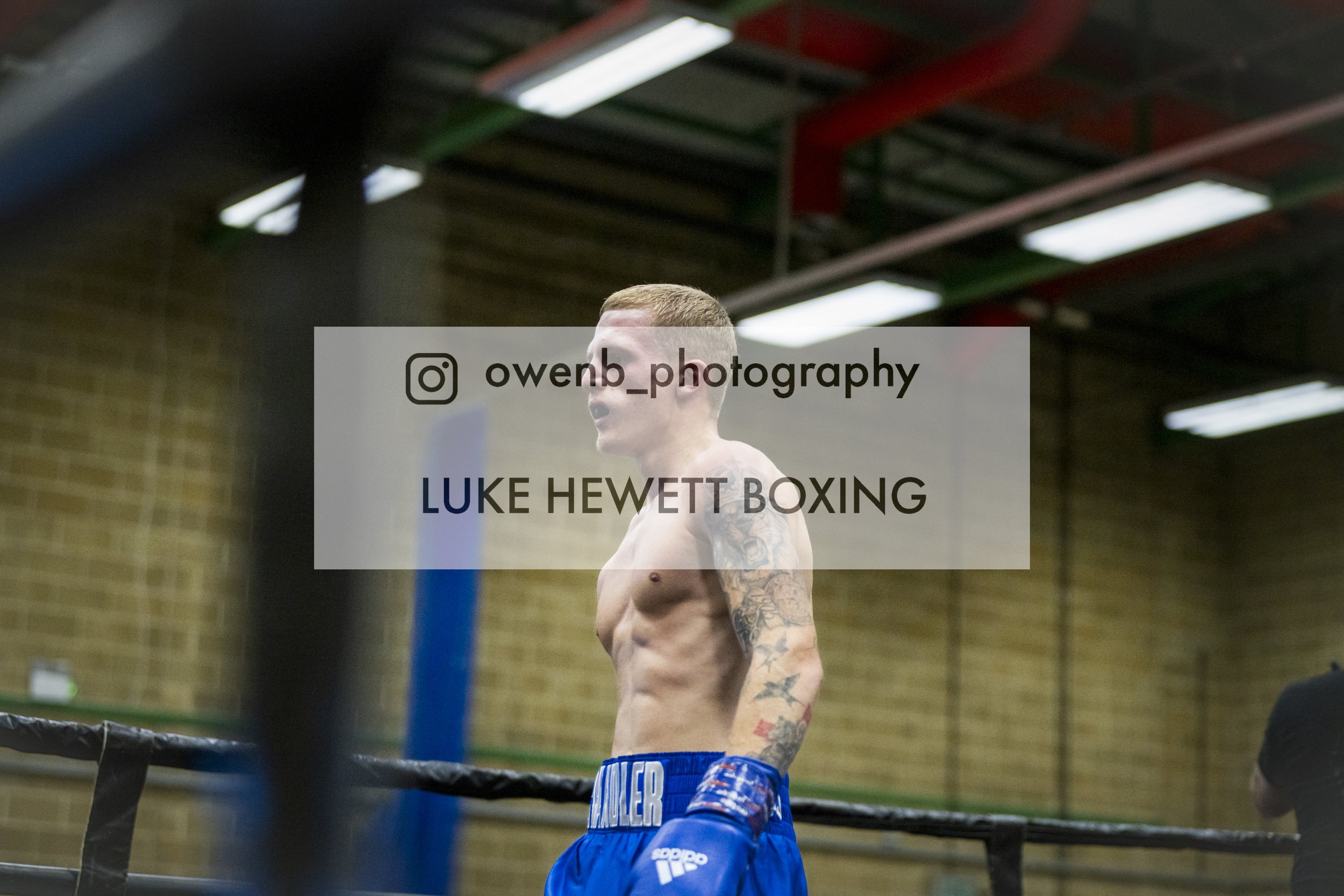 A shirtless male boxer with tattoos on his left arm and torso, wearing blue shorts, stands inside a boxing ring in a gym with brick walls and ceiling lights.