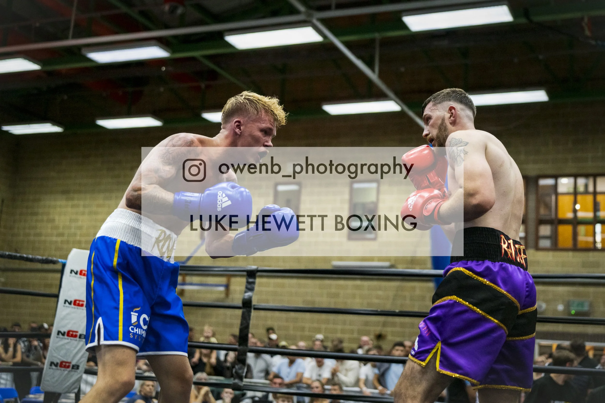 Two male boxers in a boxing ring engaged in a match, wearing gloves and shorts, with an audience watching in the background.