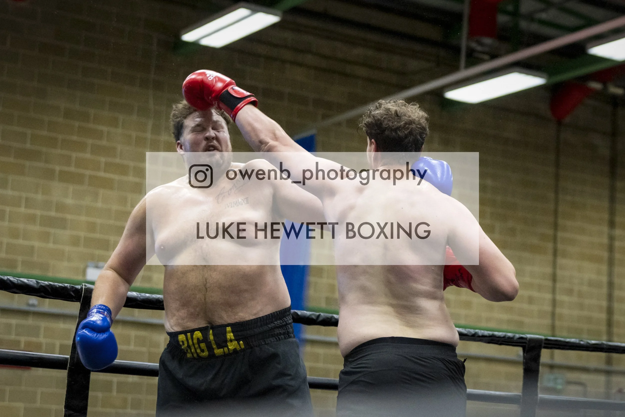 Two shirtless male boxers with gloves in a boxing ring engaged in a fight, with one delivering a punch to the other.