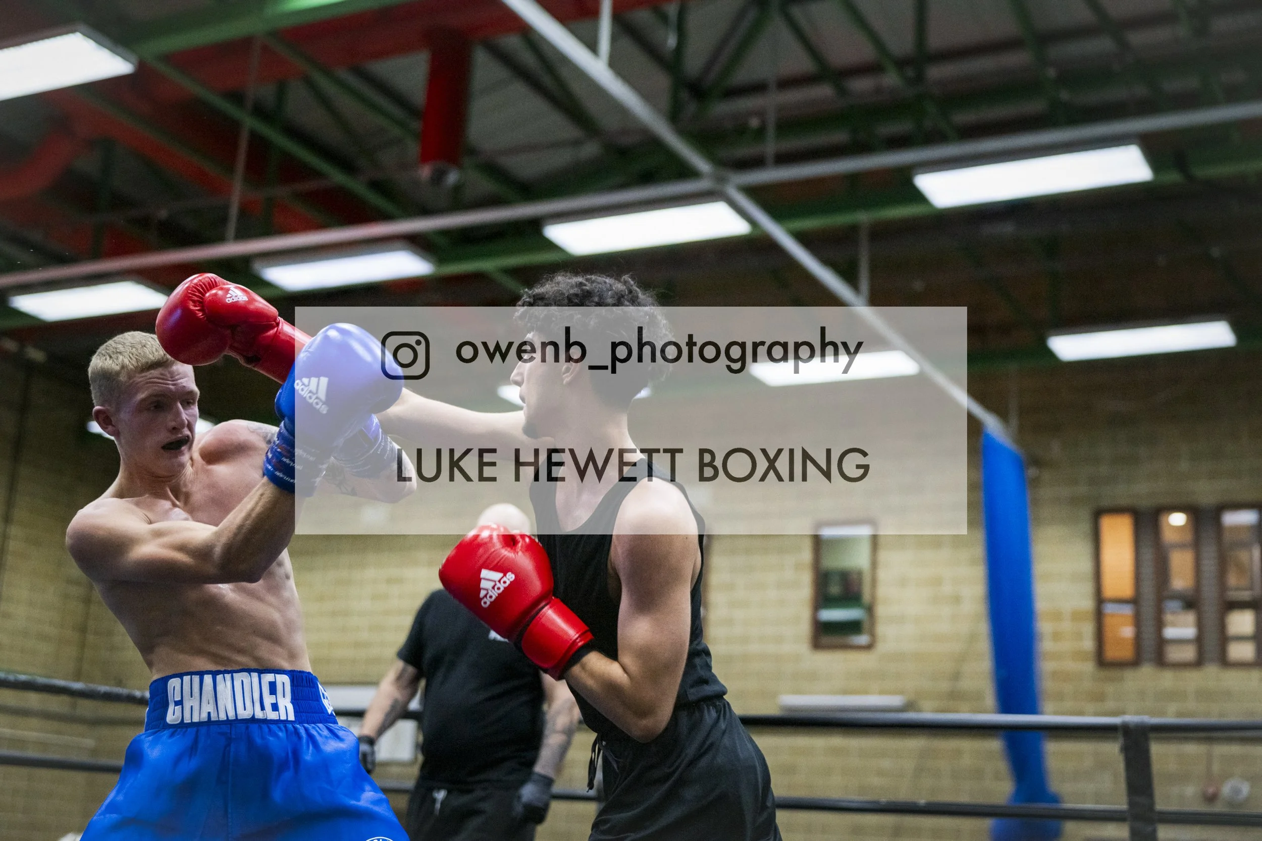 Two male boxers engaged in a boxing match in a gym. The boxer on the left with blond hair, blue shorts, and red boxing gloves, is landing a punch on the face of the boxer on the right who has dark, curly hair, wearing black clothing and red gloves. T