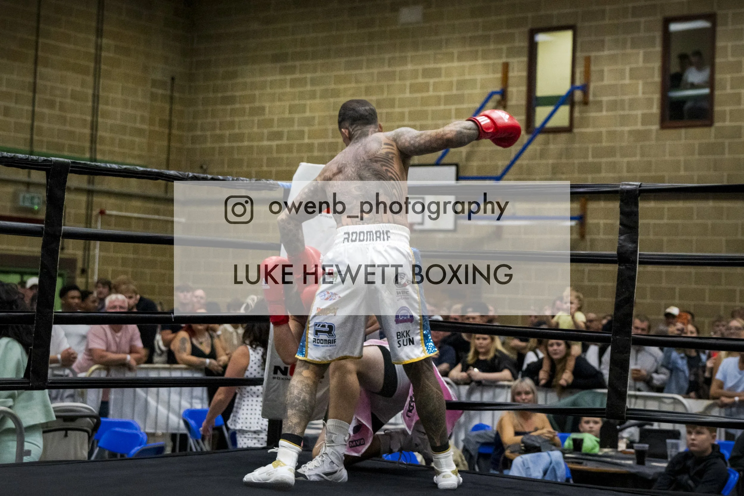 Boxers competing in a ring during a match with a crowd watching.