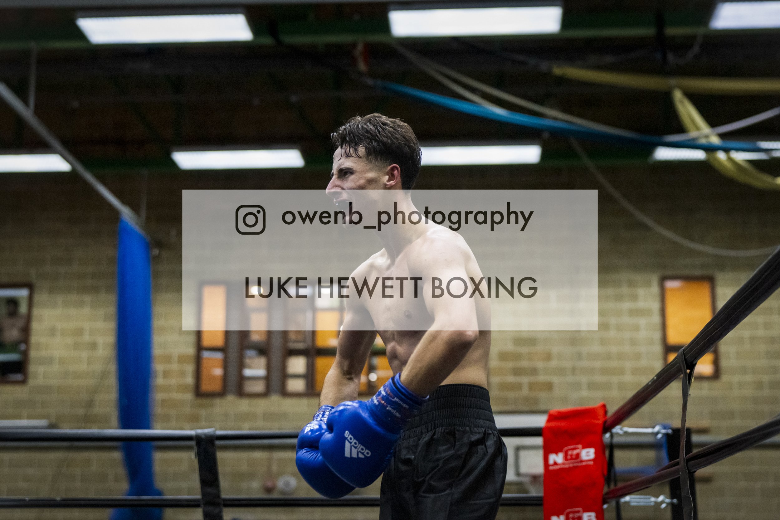 A shirtless man with dark hair and boxing gloves standing in a boxing ring, surrounded by ropes, in a gym with brick walls and ceiling lights.