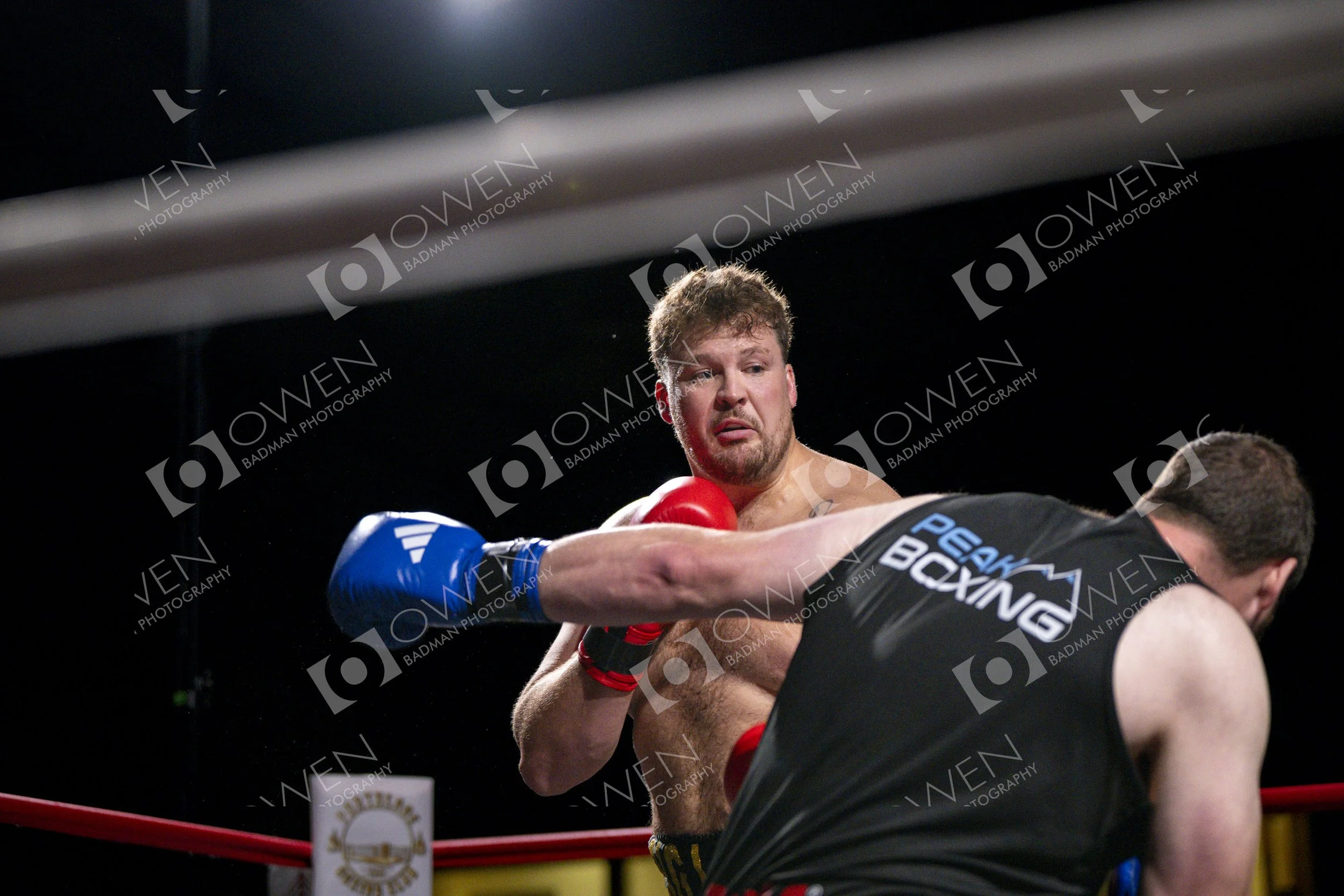 Card 2 Raw (504).jpg