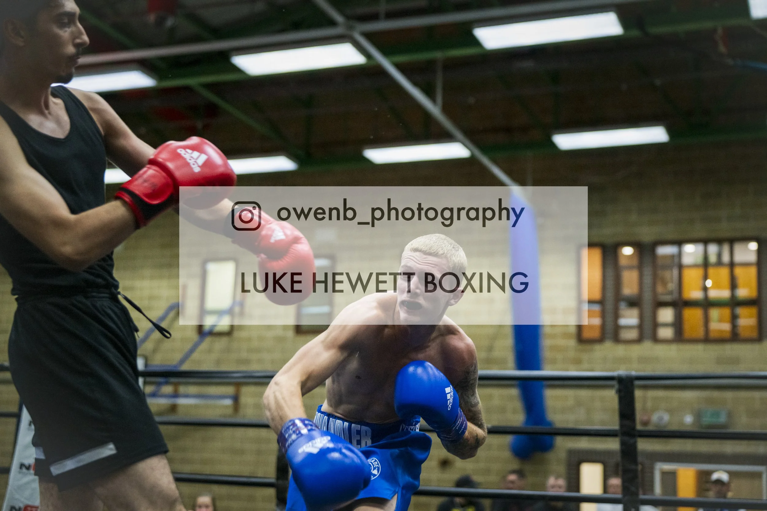 Boxer in blue gloves and shorts being punched by a man wearing a black tank top and red gloves in a boxing gym.