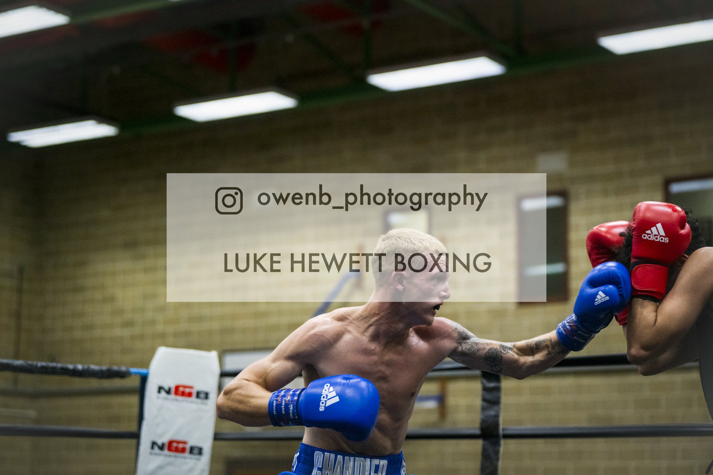 A boxer in blue gloves throwing a punch at an opponent wearing red gloves inside a boxing ring with a wooden wall background.