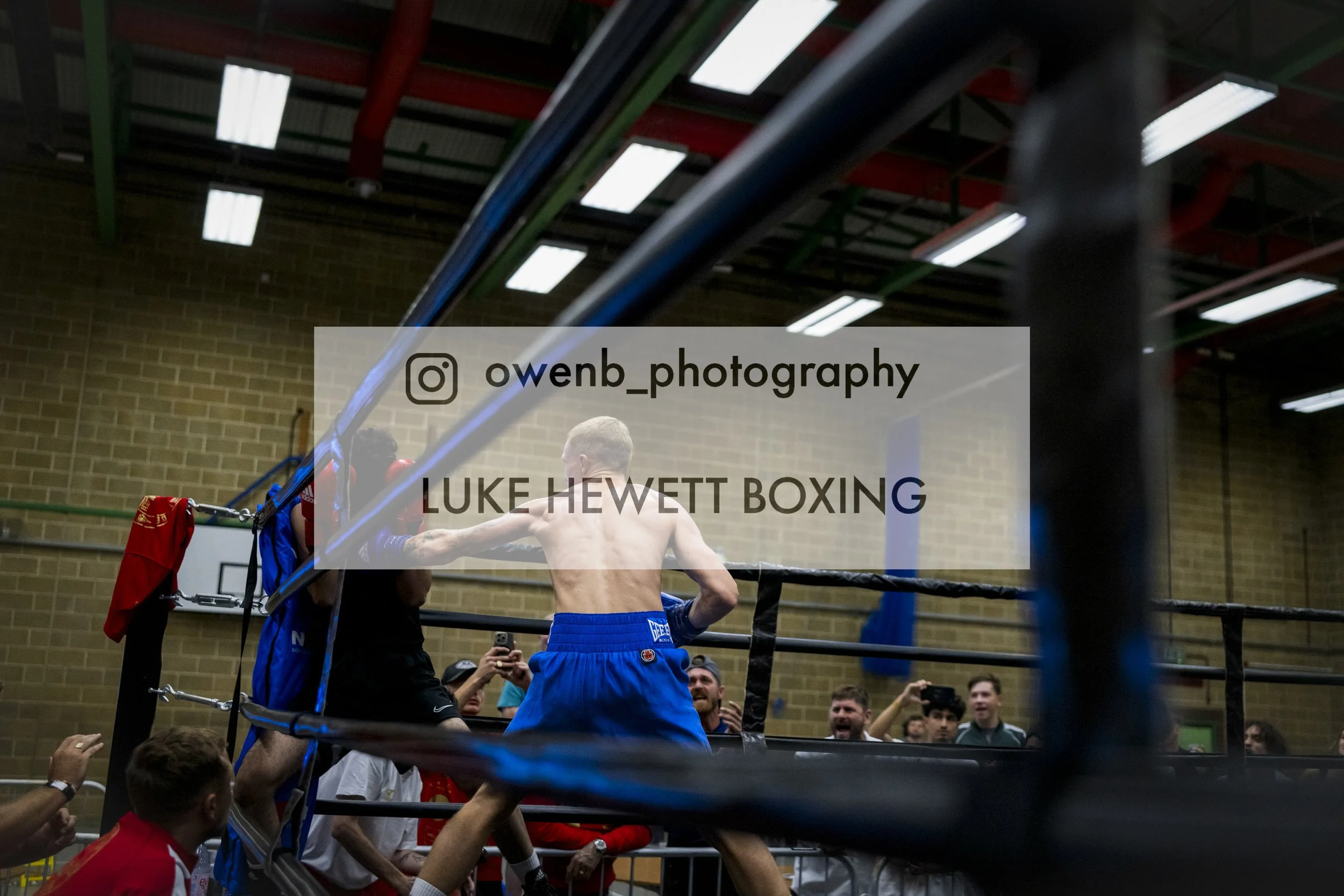 Boxing match in a gym with boxer Luke Hewett in the ring surrounded by spectators and trainers, colorful ropes, and gym equipment in the background.