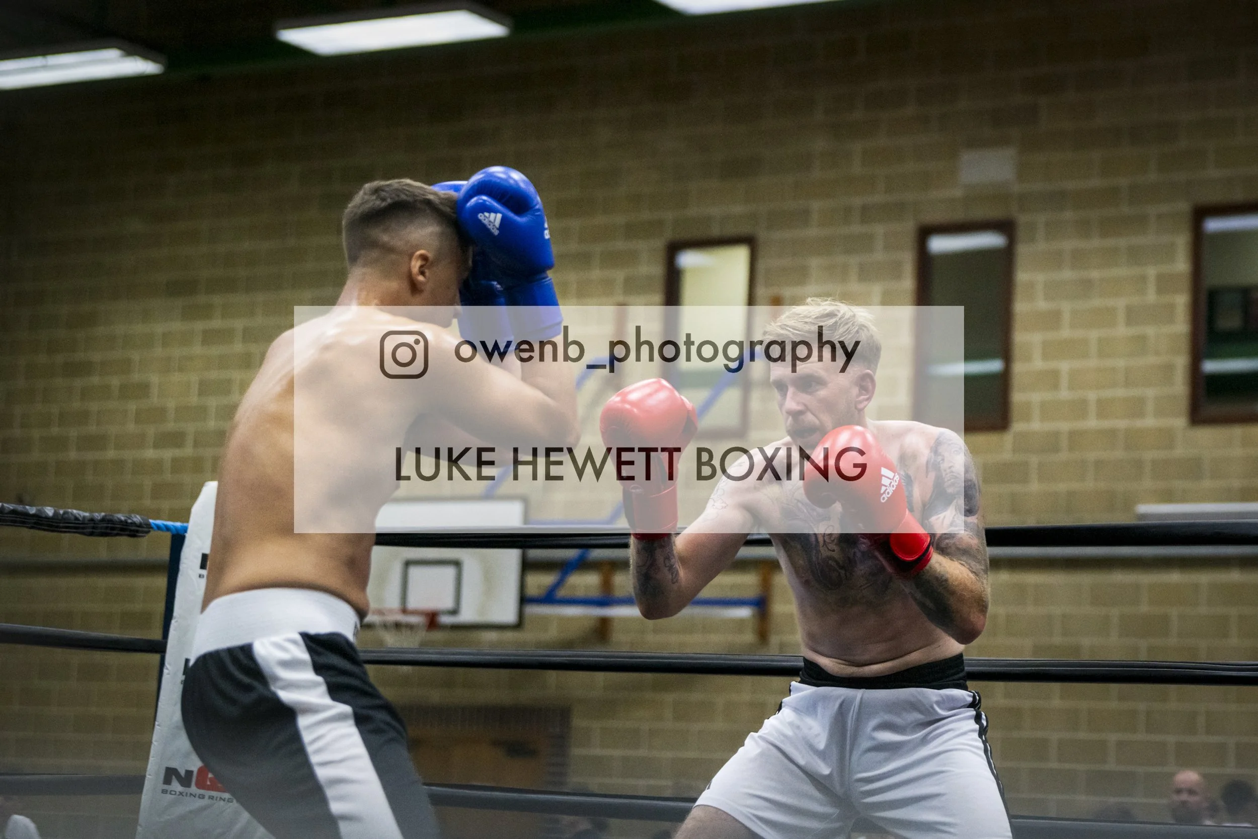 Two shirtless male boxers with gloves in a boxing ring, practicing or fighting. One boxer has blue gloves and the other red gloves, and they are in a fighting stance.