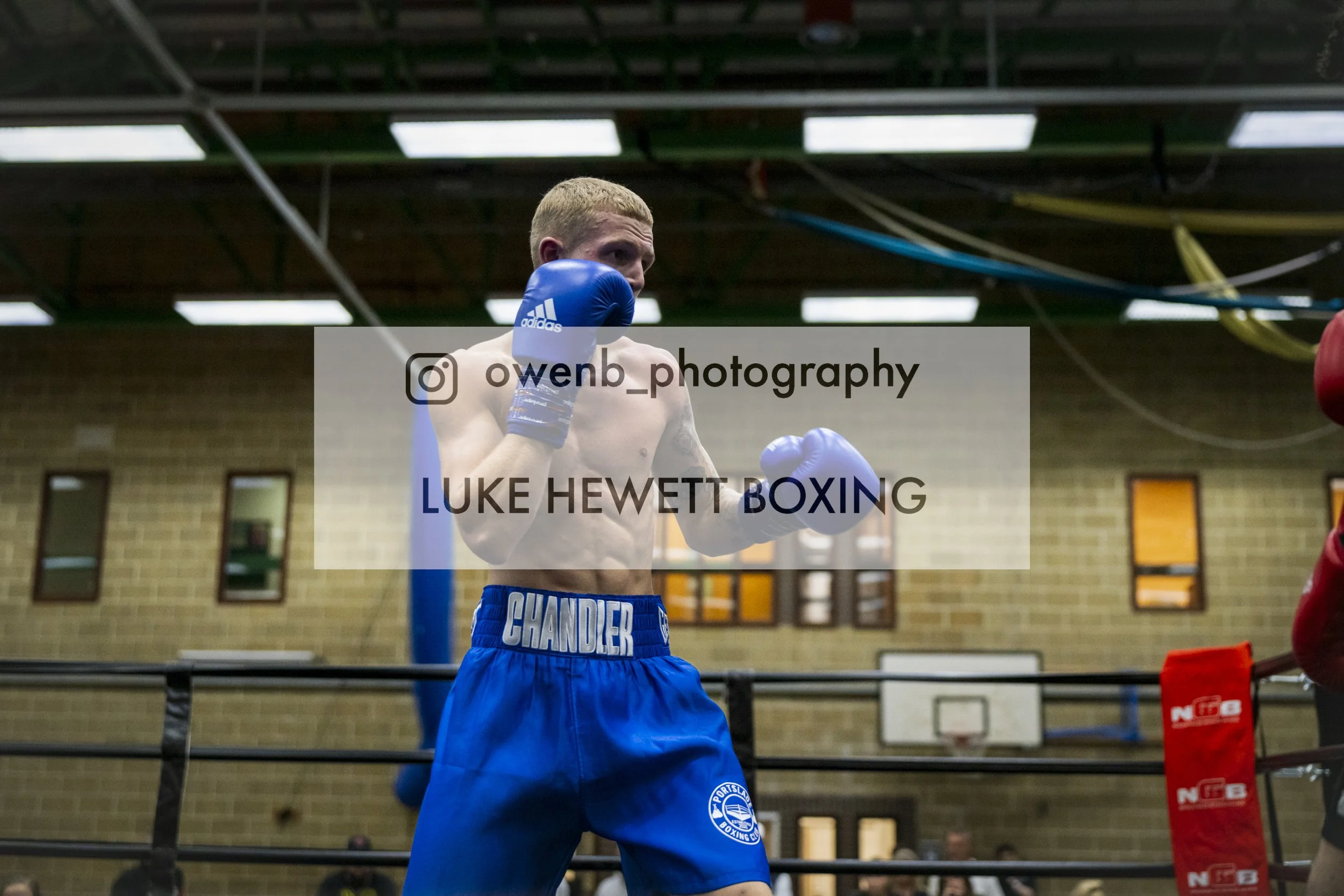 A shirtless male boxer with blue gloves in a boxing gym, standing in a fighting stance inside a ring.