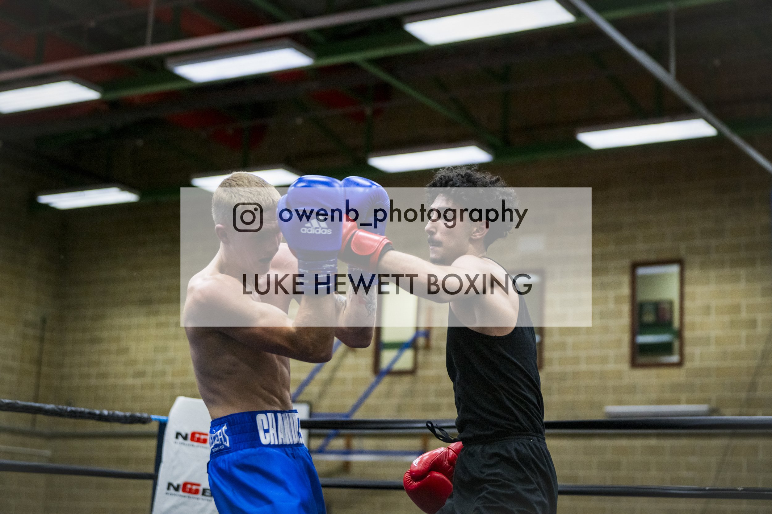 Two men practicing boxing in a gym, one in blue shorts and gloves and the other in black shorts and red gloves, with their heads close together.