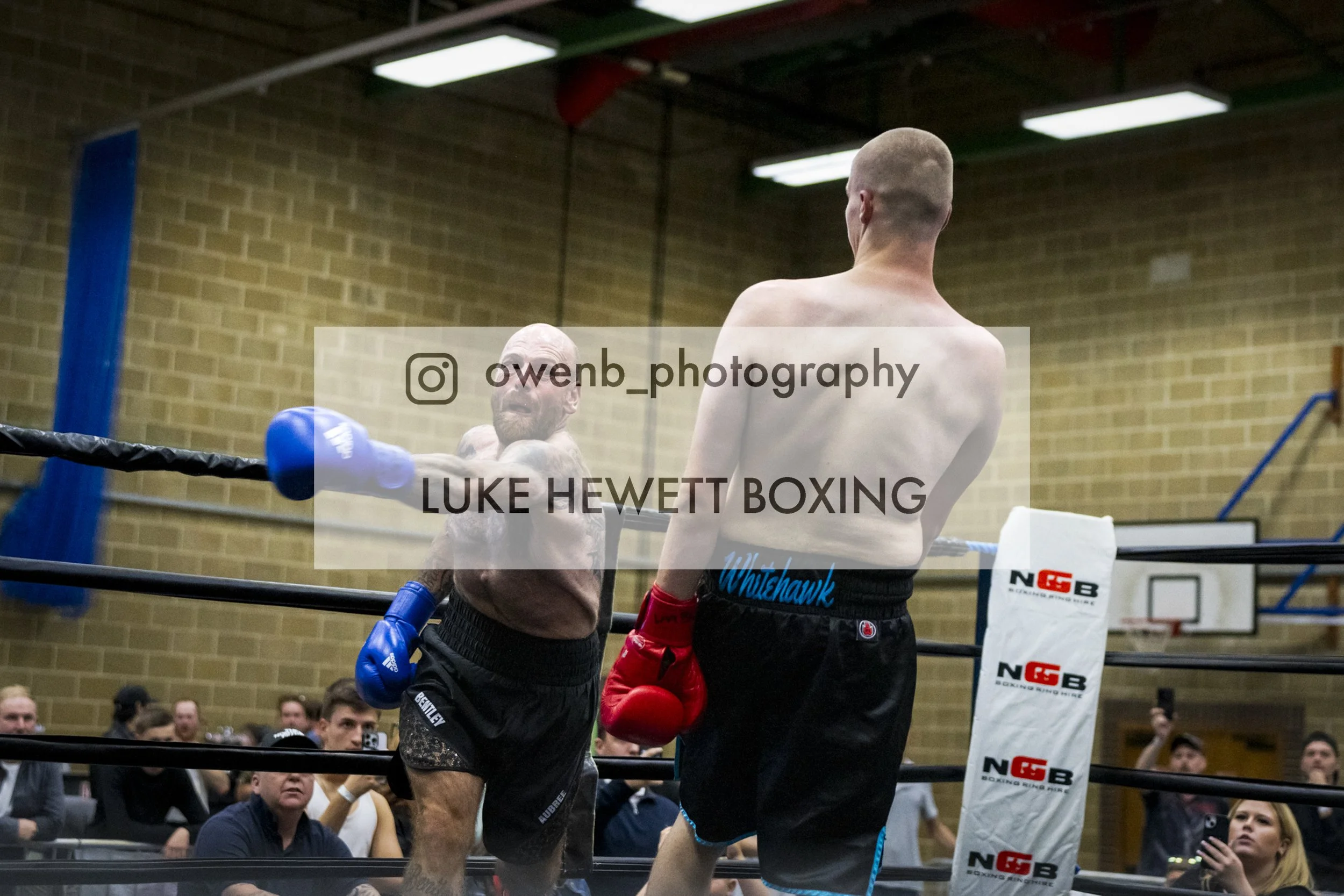 Boxers in a ring during a match with an audience watching.