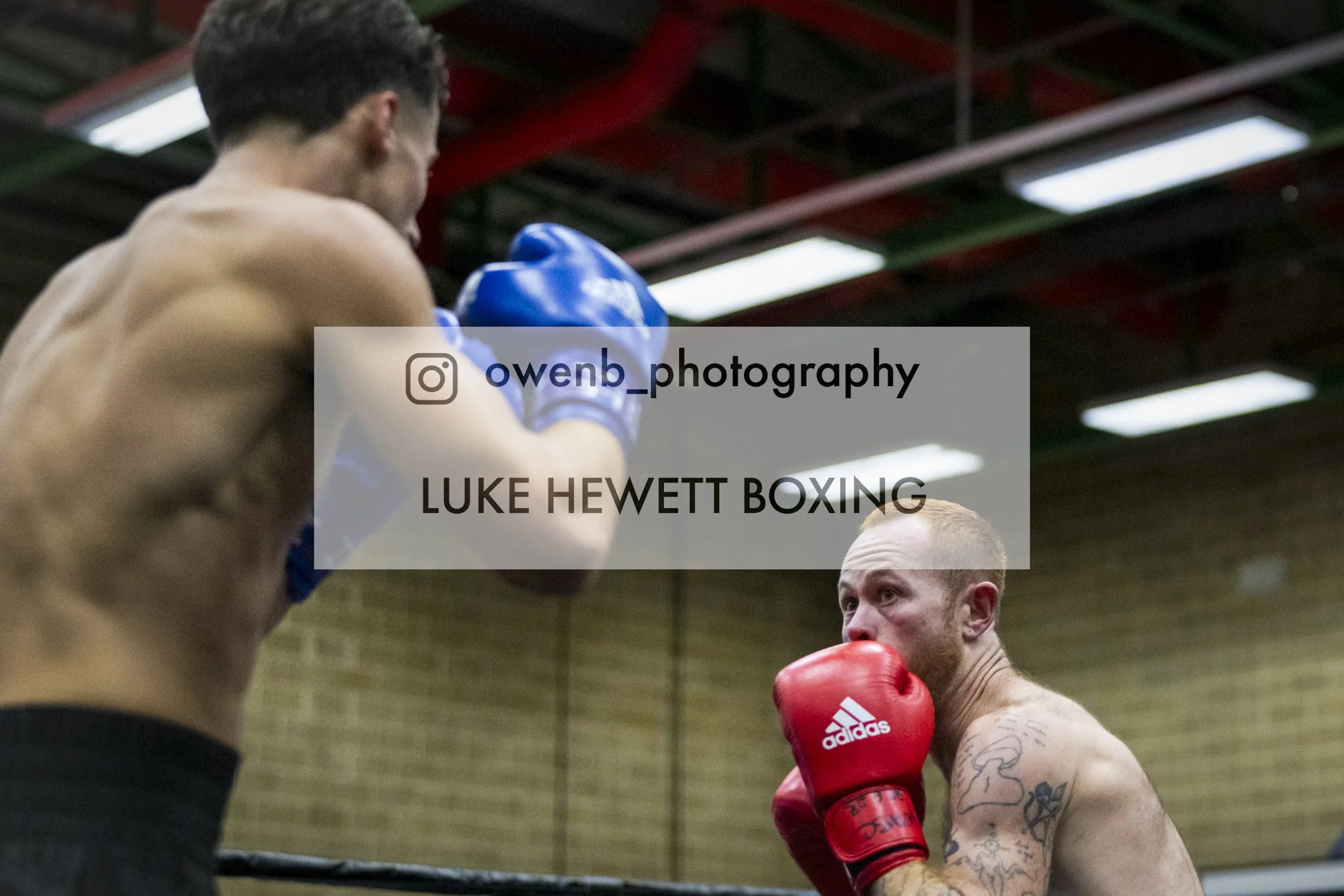 A boxer with red gloves and tattoos on his arm faces a boxer with blue gloves in a boxing ring, with a referee observing. The scene takes place indoors with a high ceiling and fluorescent lights.
