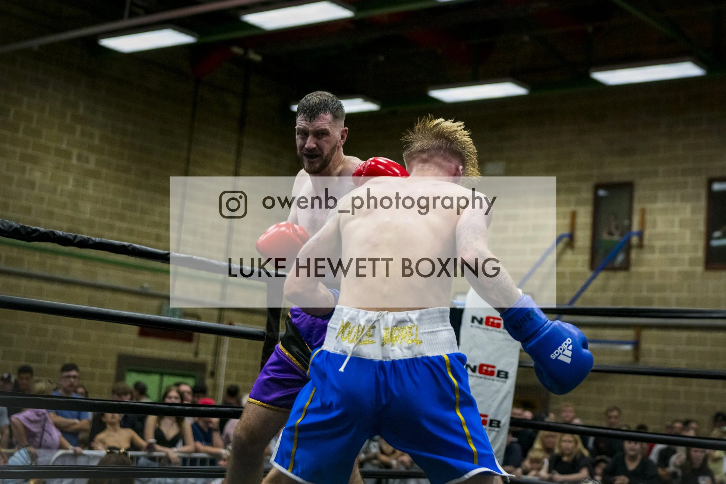 Two male boxers compete in a boxing match inside a gym, with one delivering a punch to the other. The audience watches in the background.