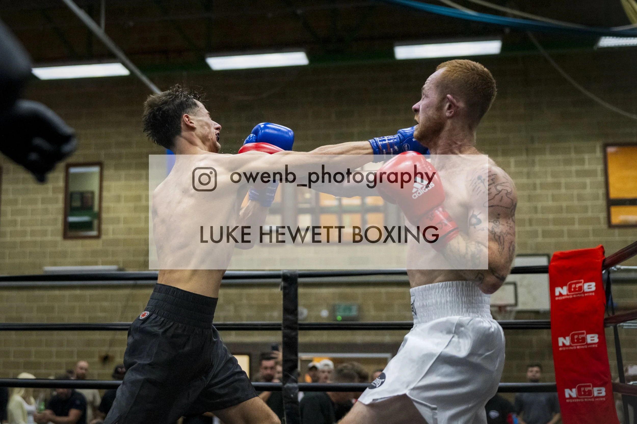 Two boxers in boxing gloves engaged in a fight inside a ring, with a crowd watching in the background.