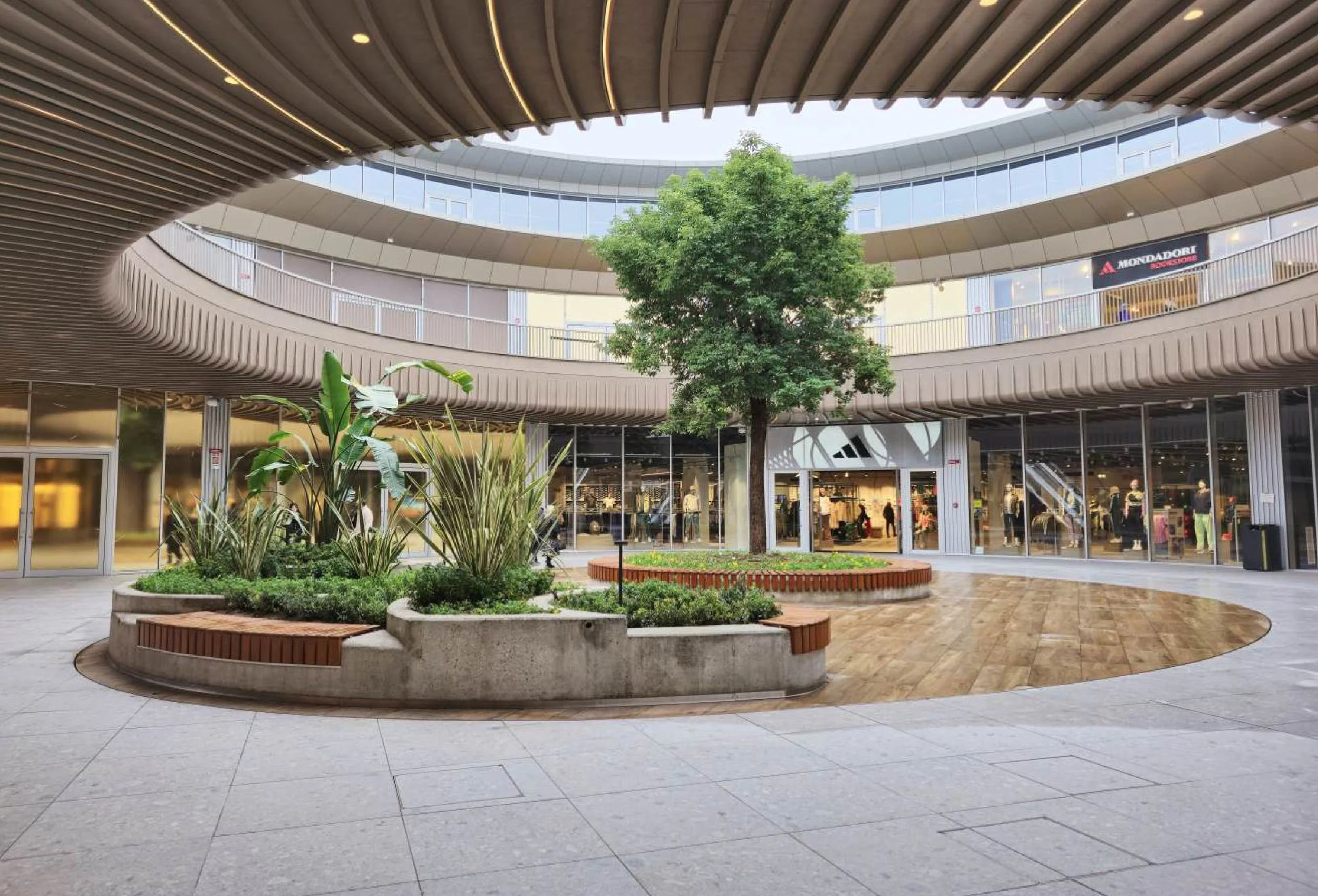 Untitled design (6).jpg