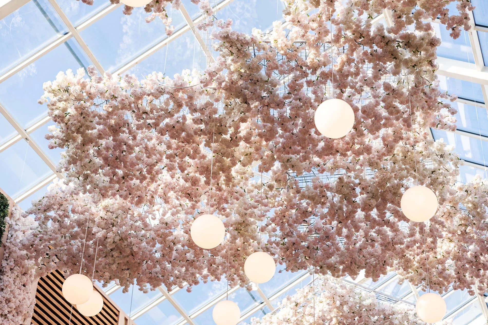 Cherry Blossom Installation Trafford Centre