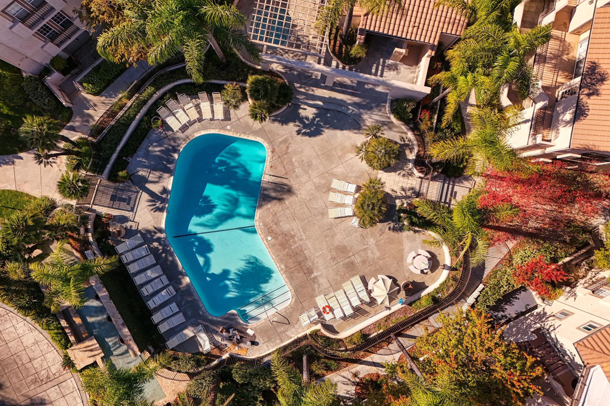 DJI_0242_HDR.JPG