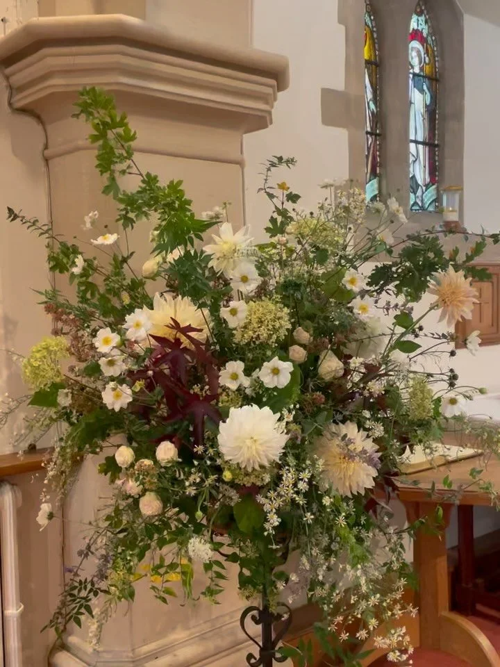 The last of the October flowers.🍂