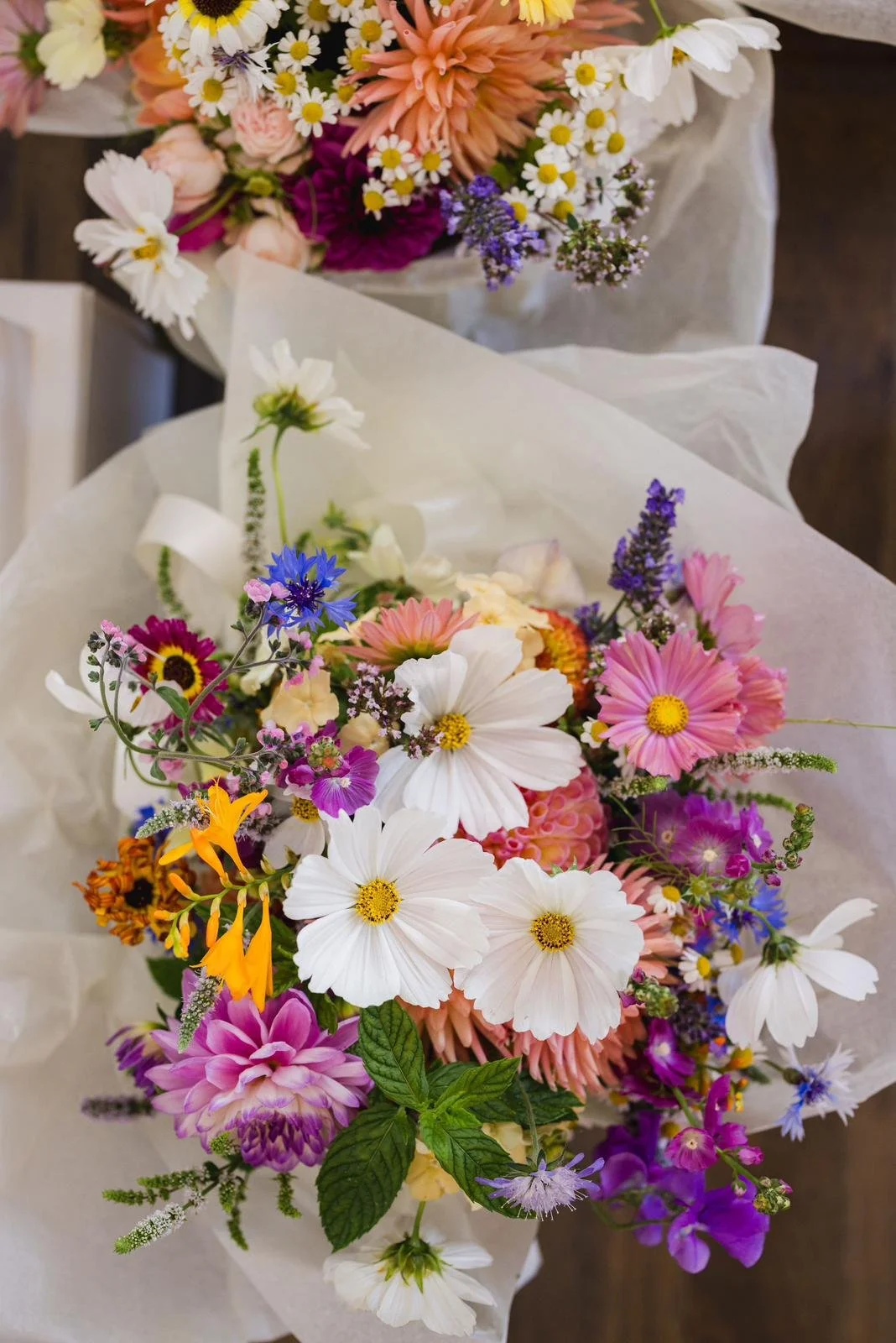 WhatsApp Image 2024-11-02 at 14.16.23 (2).jpeg