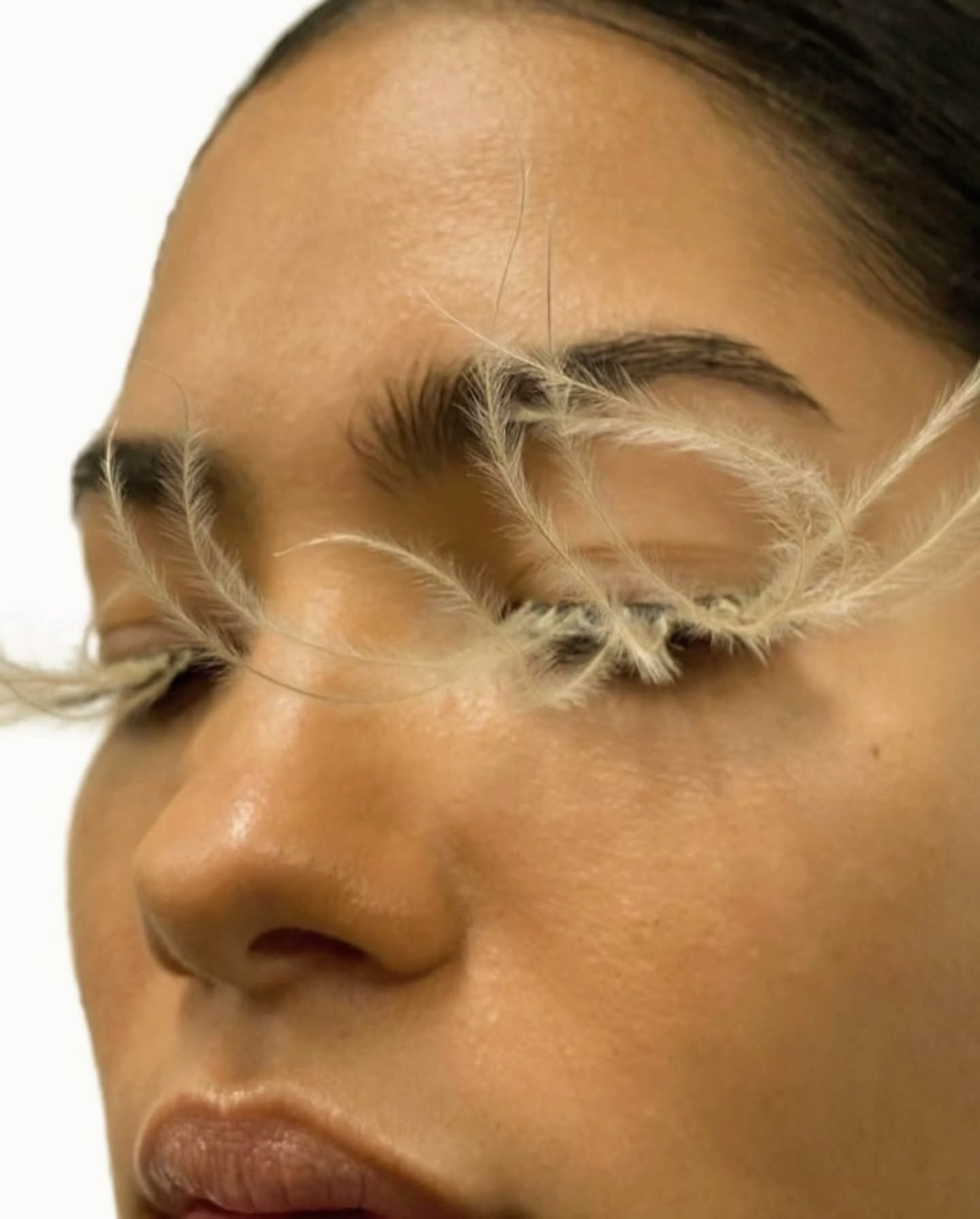 whimsy &bull; beauty &bull; fluff &bull; feathered

#eyebrows #allaboutthebrows