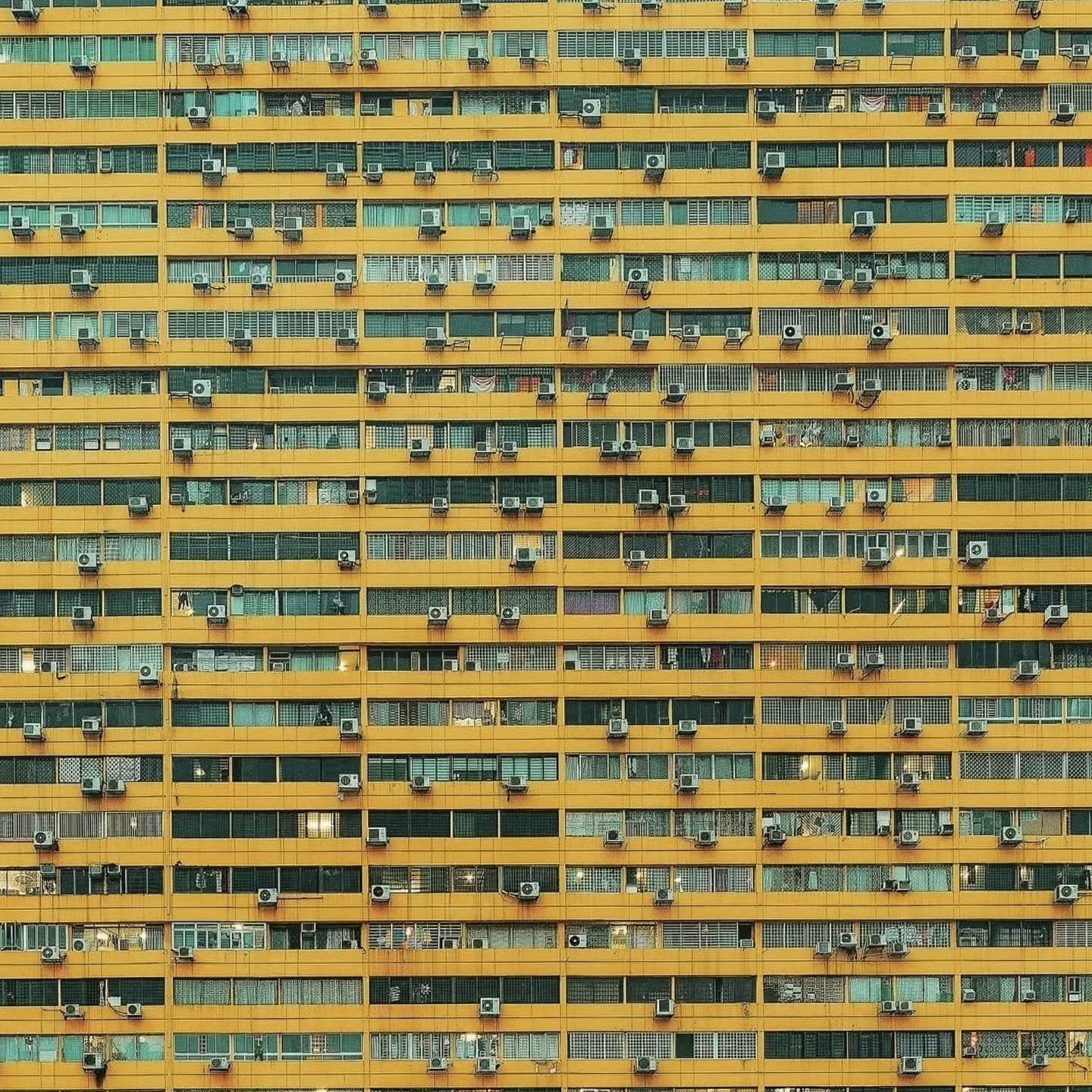 this building nailed symmetry so your face doesn't have to

#browbalance #browartist #browsing #balancenotsymmetry @boluddha