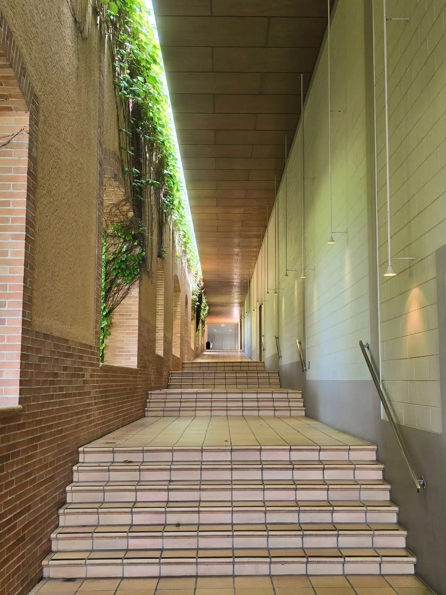 my recent visit to the Yarra Valley had to find its way here.
also, never met a toastie I didn't love @chandonaus

#yarravalley #winecountry #toastielove