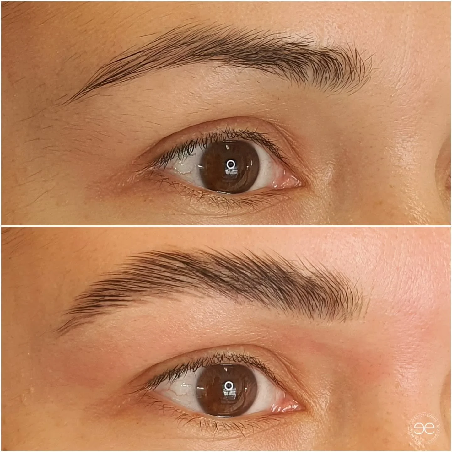 same brows, just a bit more love in the right places.

the EE Signature Brow is all about enhancing &mdash; not overdoing.

#eesignaturebrow #browartistmelbourne #softbrows #naturallyfullbrows #browcare
