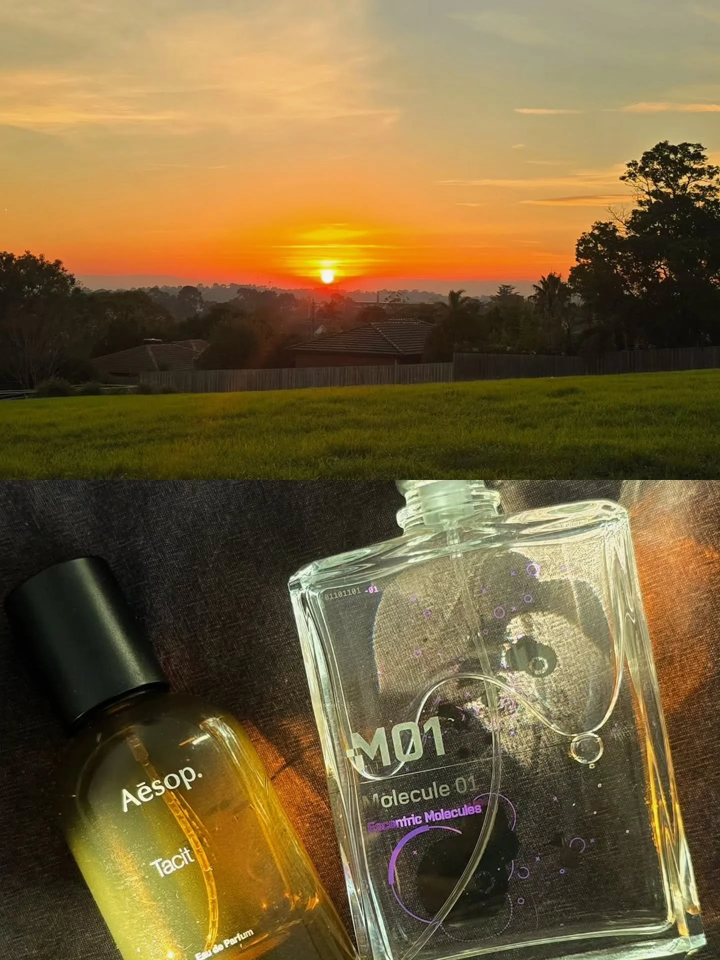 golden hour &amp; a scent layer that needed to be captured. the amount of comments I received the day I wore this combo was almost obscene.

sure to be on strong rotation through winter.

@escentric_molecules @aesop 

#scentofawoman #layeredscents #g