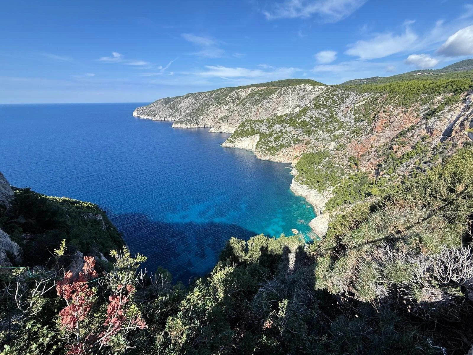 WhatsApp Image 2025-11-13 at 11.38.40.jpeg