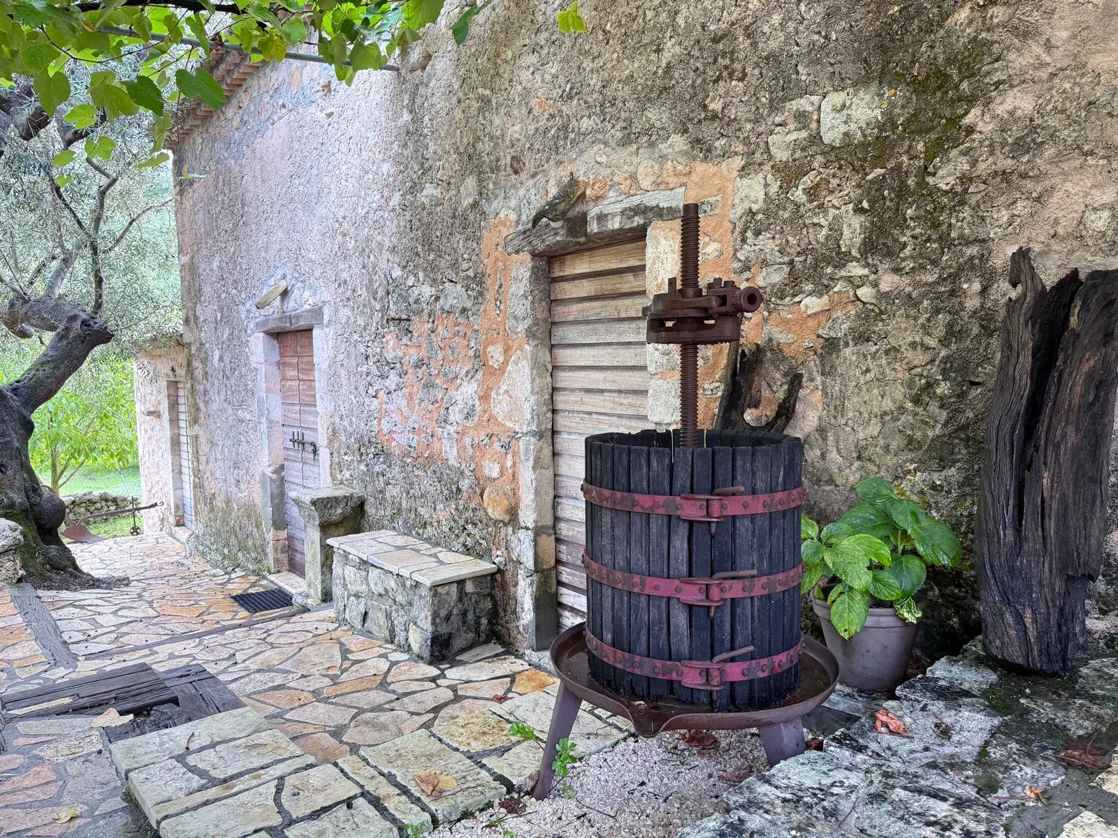 WhatsApp Image 2025-11-13 at 11.02.14.jpeg