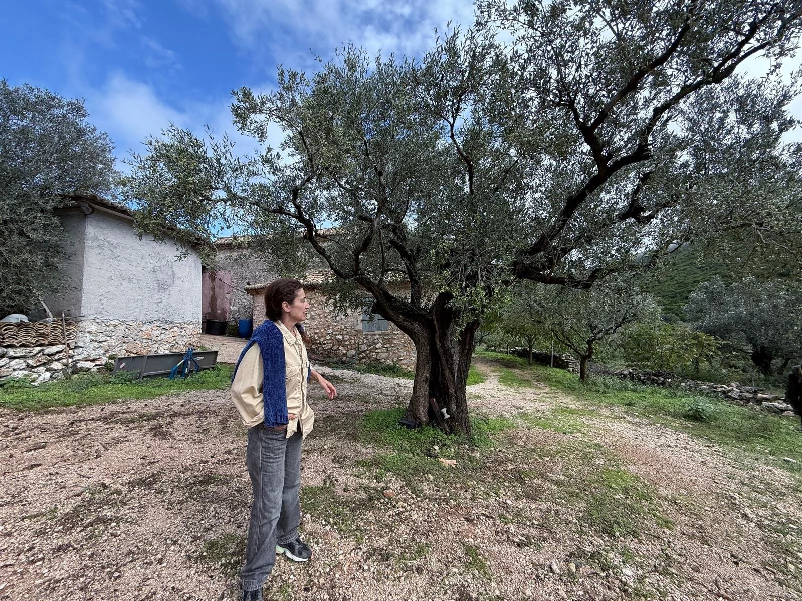 WhatsApp Image 2025-11-13 at 11.01.47.jpeg