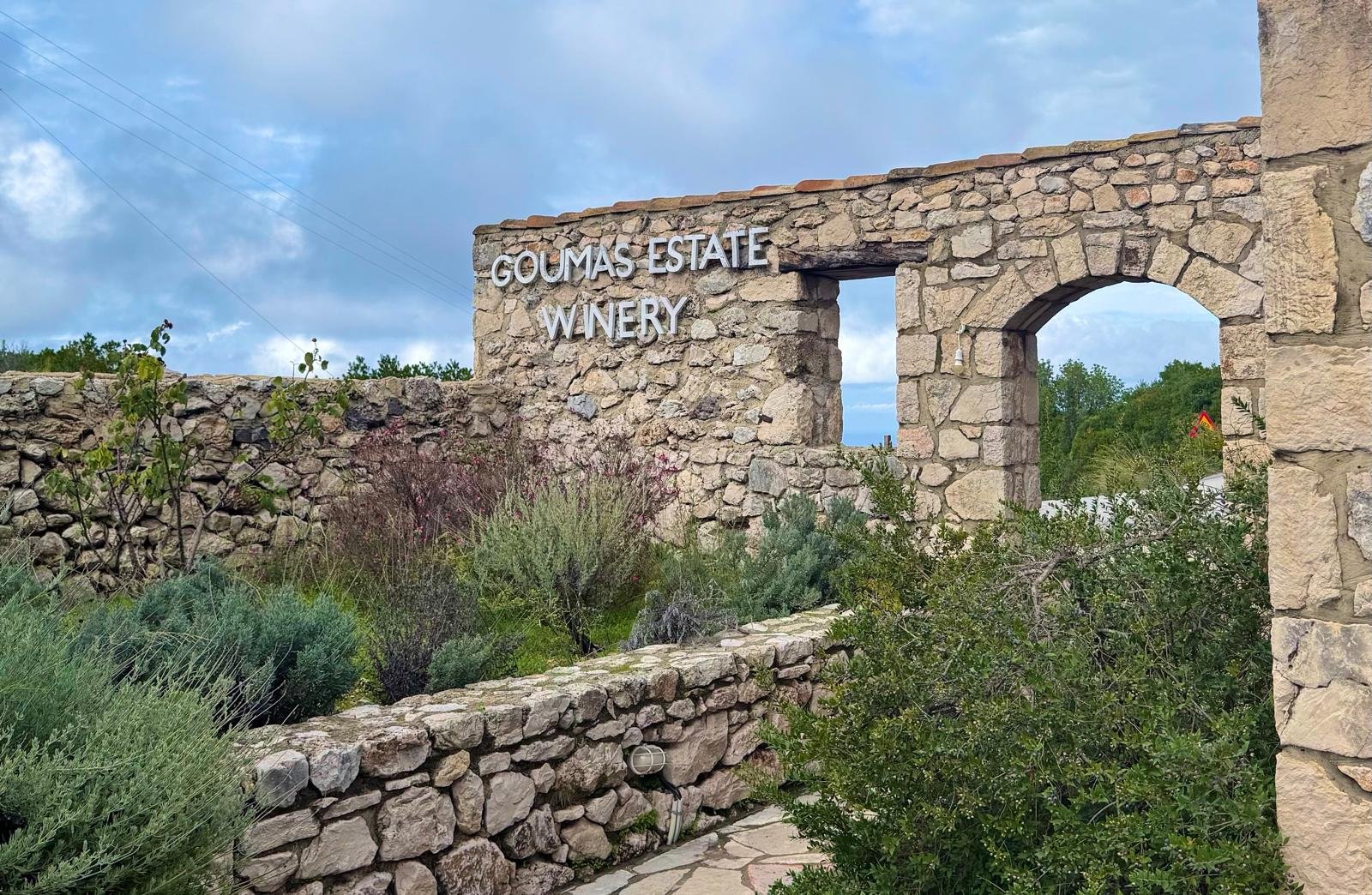 WhatsApp Image 2025-11-13 at 11.28.19.jpeg