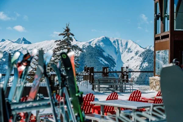 WhatsApp Image 2025-11-27 at 14.25.47(1).jpeg