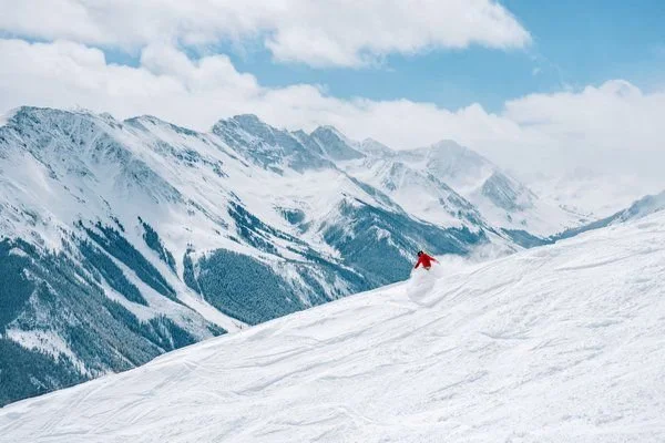 WhatsApp Image 2025-11-27 at 14.31.02.jpeg