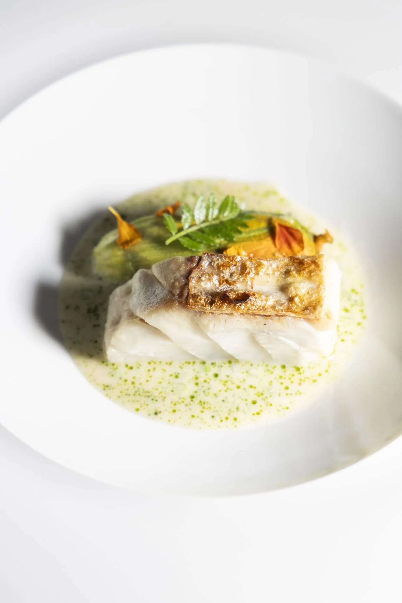 WhatsApp Image 2025-12-02 at 08.03.59.jpeg