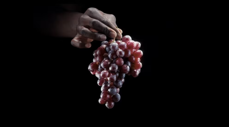 Screenshot 2025-12-22 191704.png